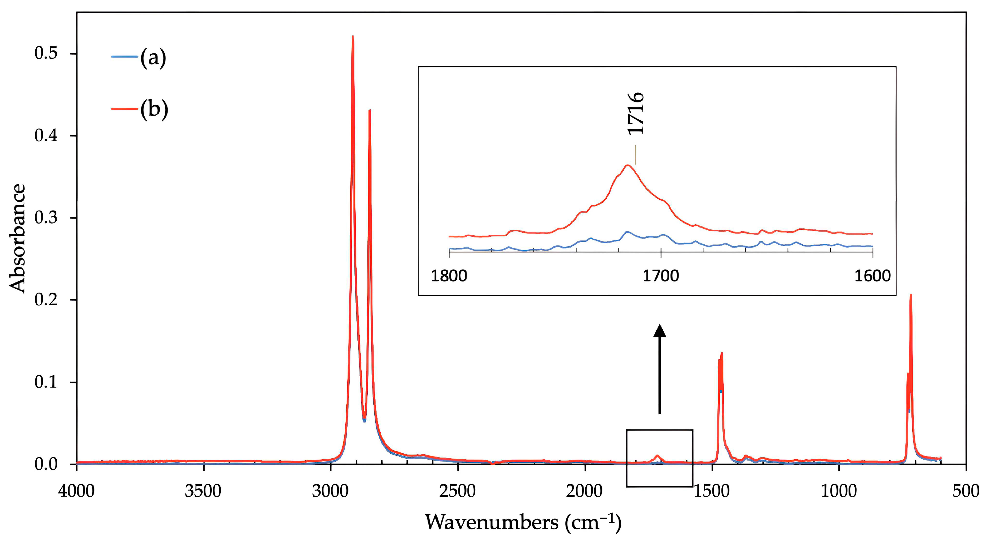 Polymers 16 00450 g006
