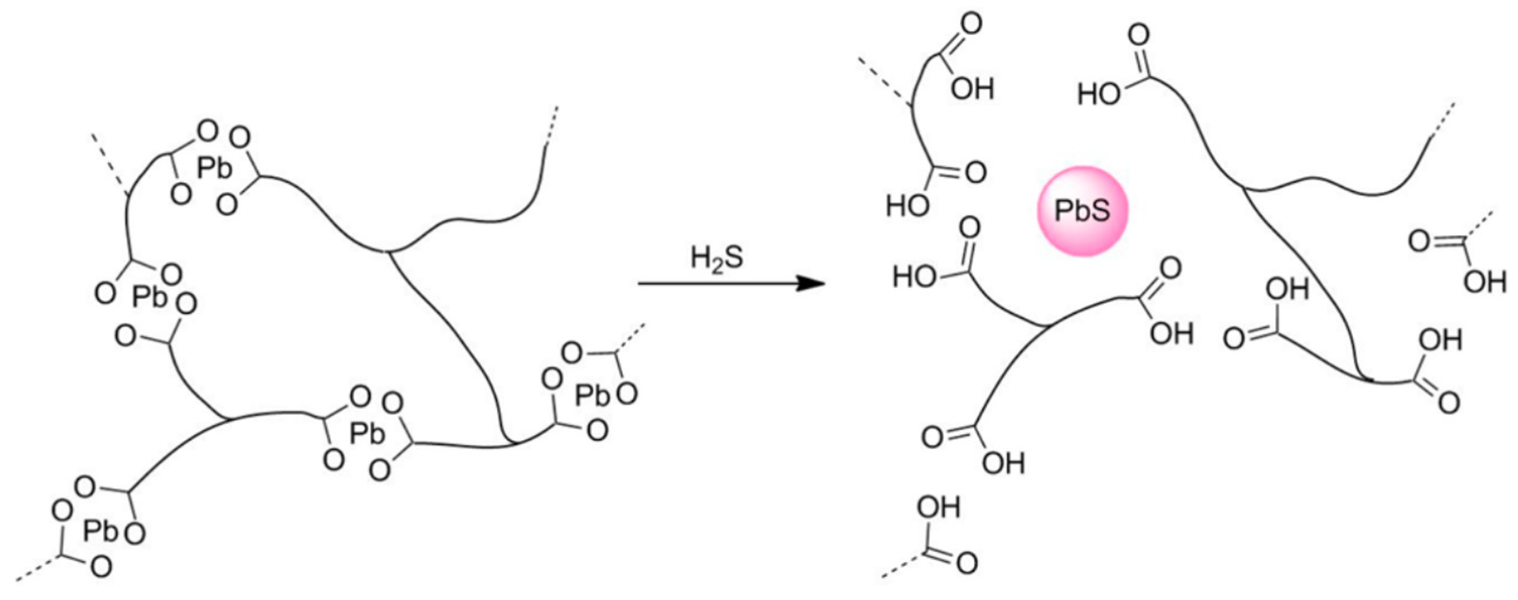 Polymers 16 00457 g010