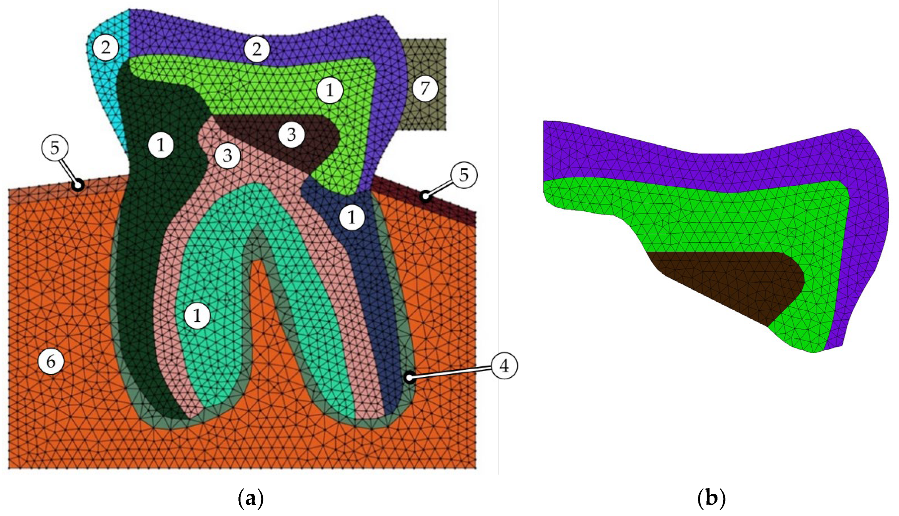 Polymers 16 00458 g002