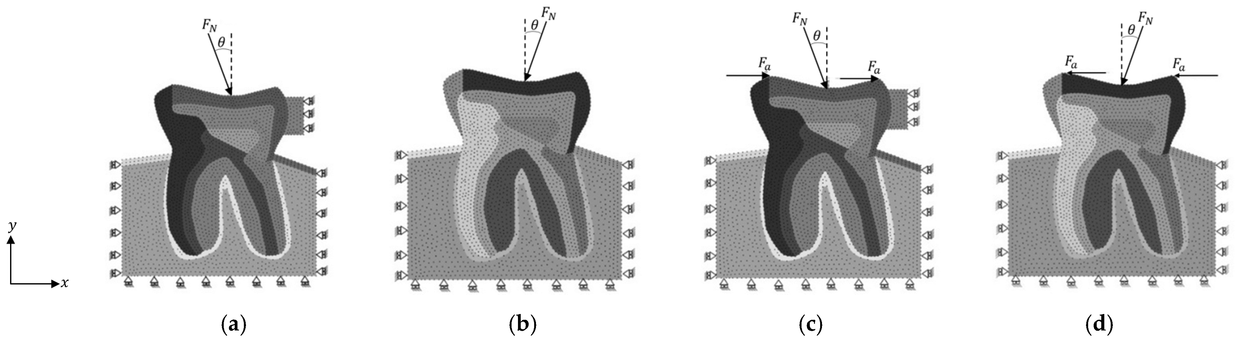 Polymers 16 00458 g003