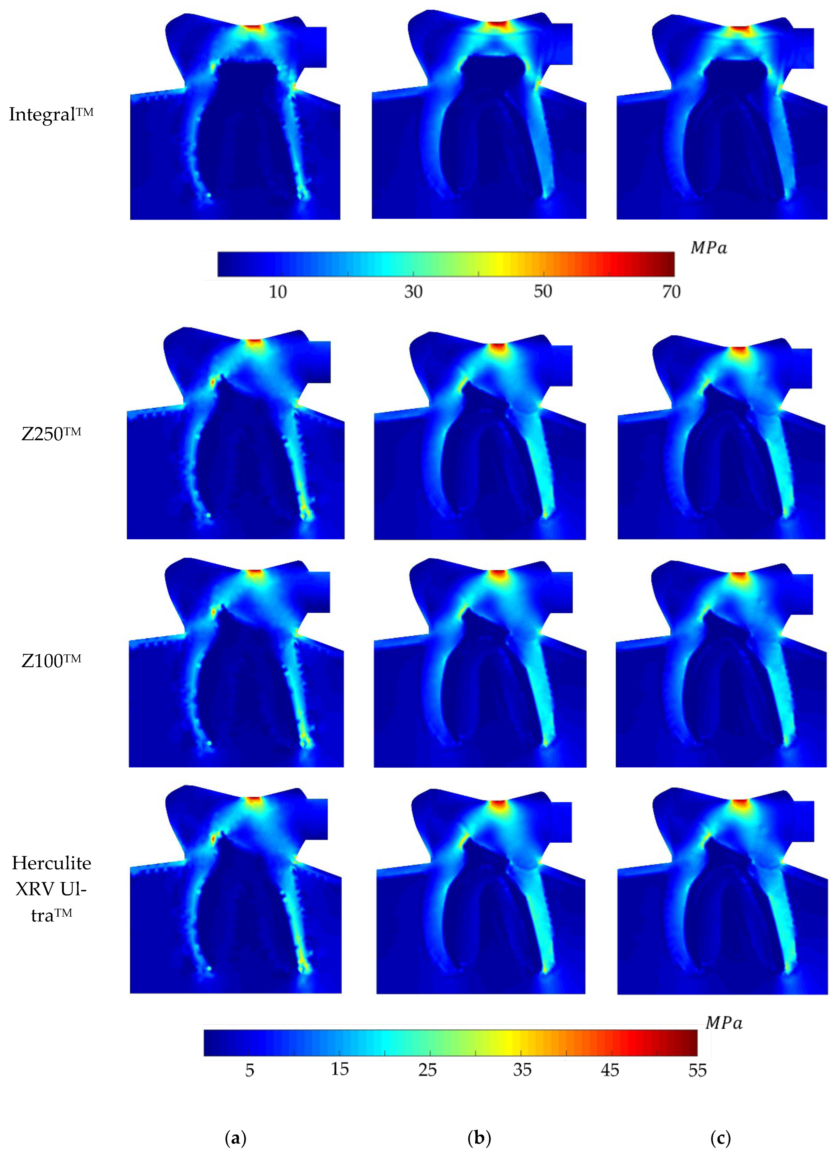 Polymers 16 00458 g006