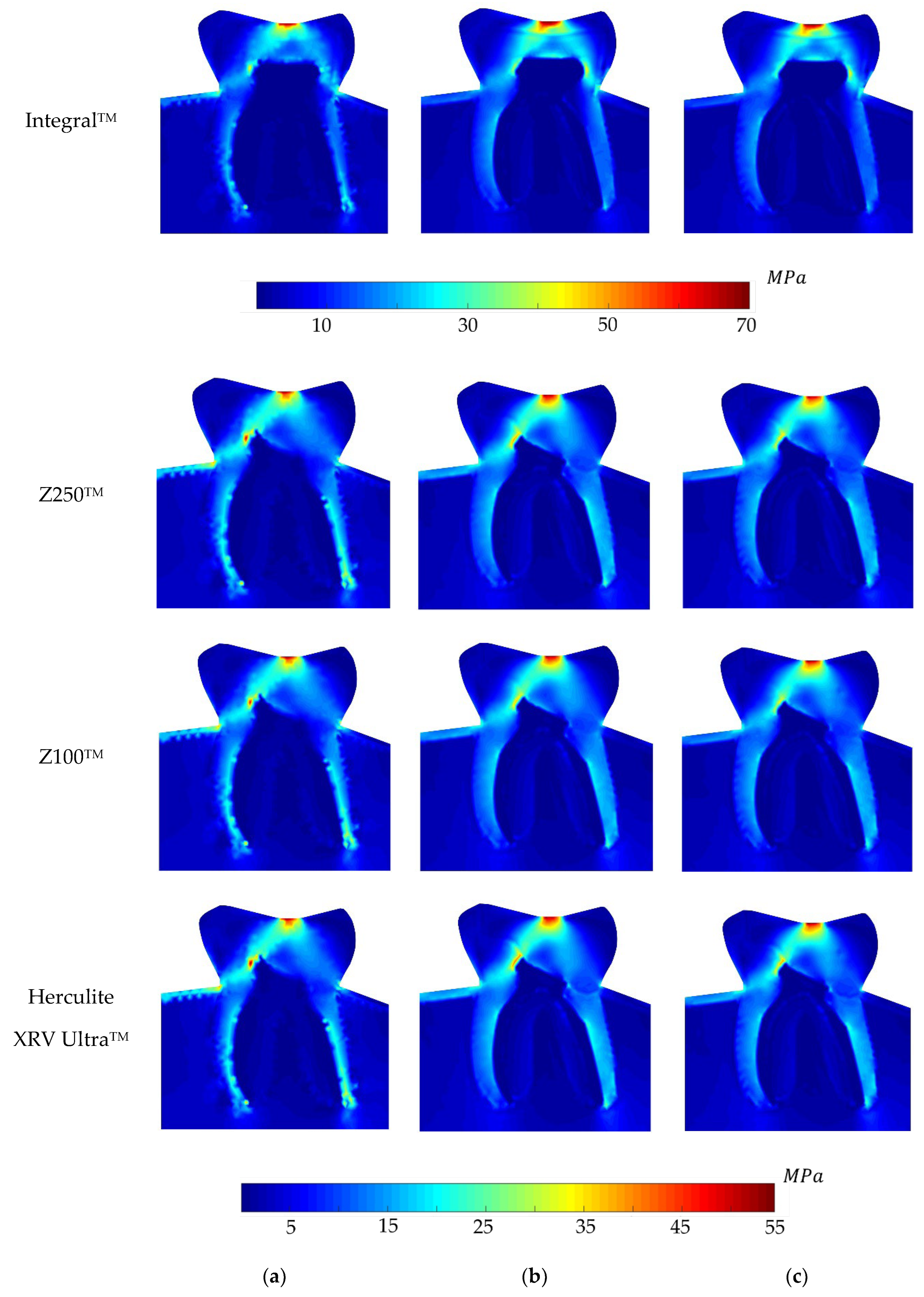 Polymers 16 00458 g008