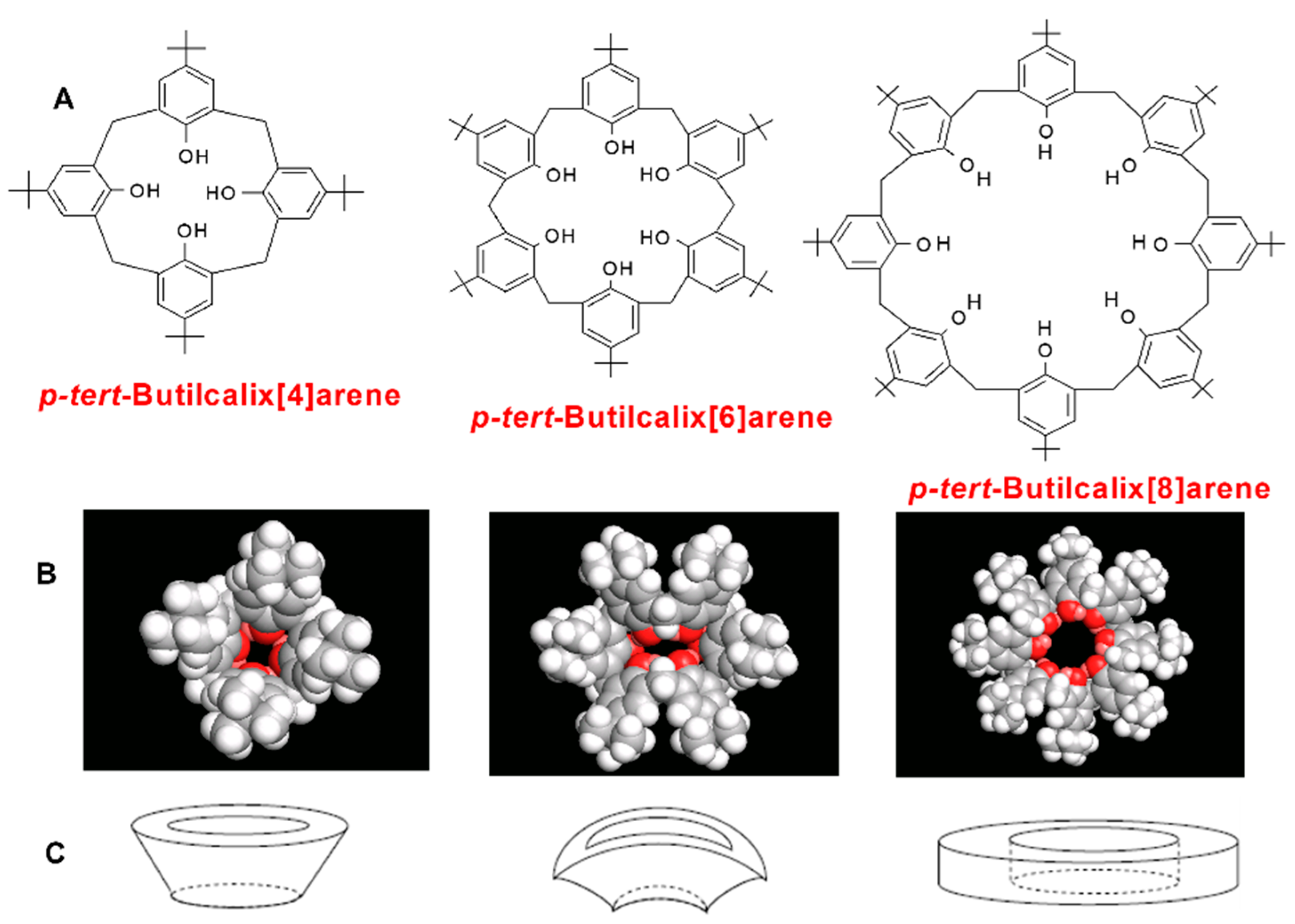 Polymers 16 00460 g002