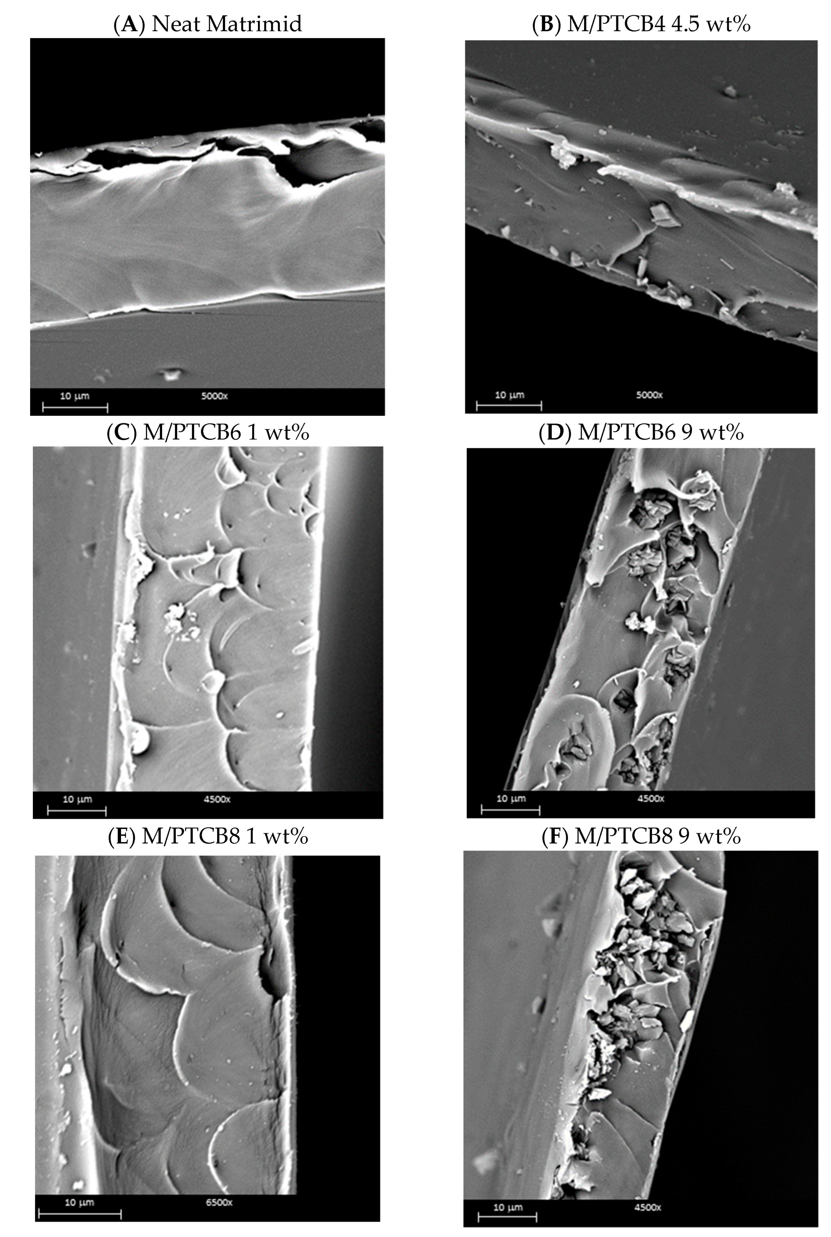 Polymers 16 00460 g010