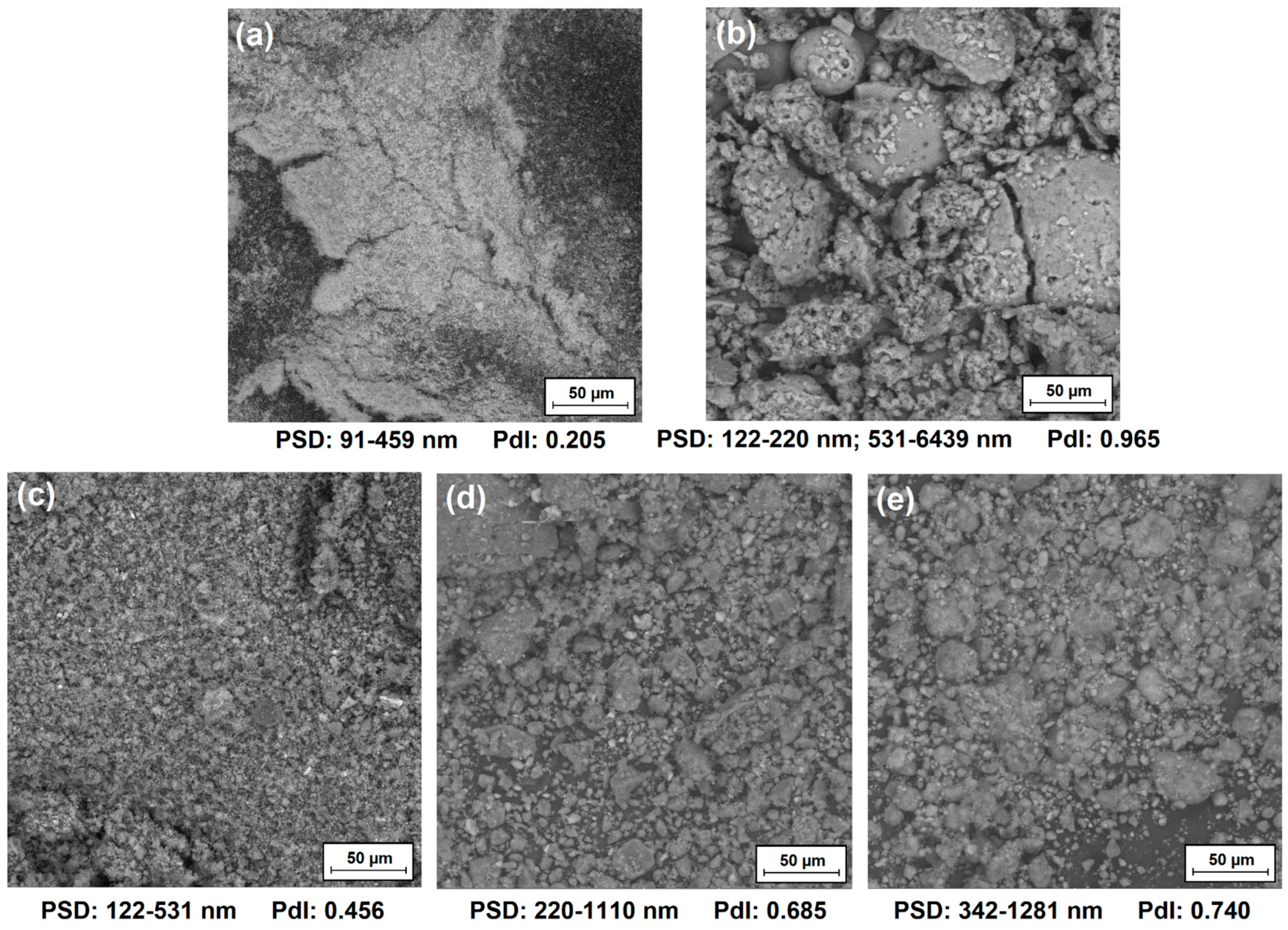 Polymers 16 00474 g002