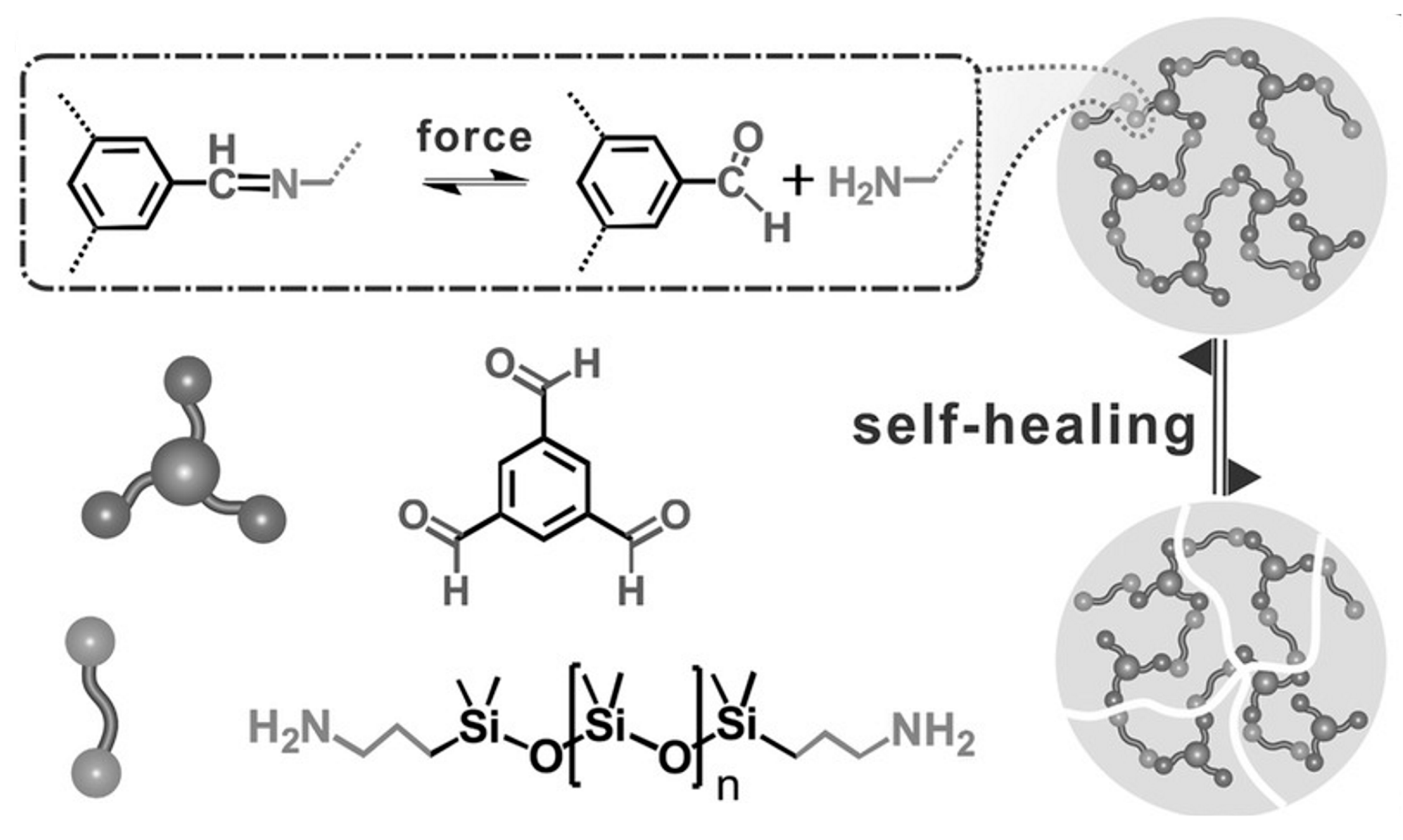 Polymers 16 00487 sch005