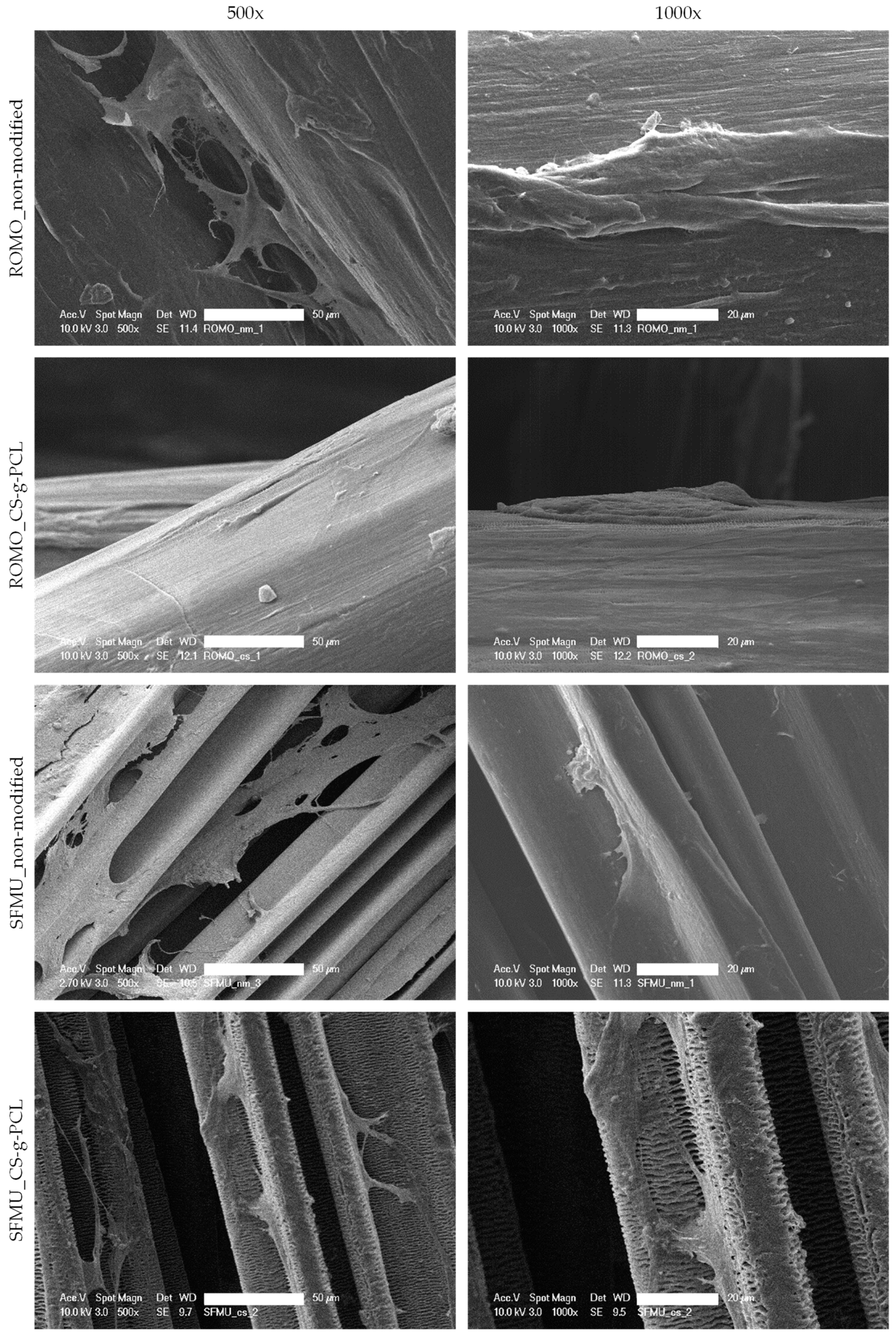 Polymers 16 00488 g008
