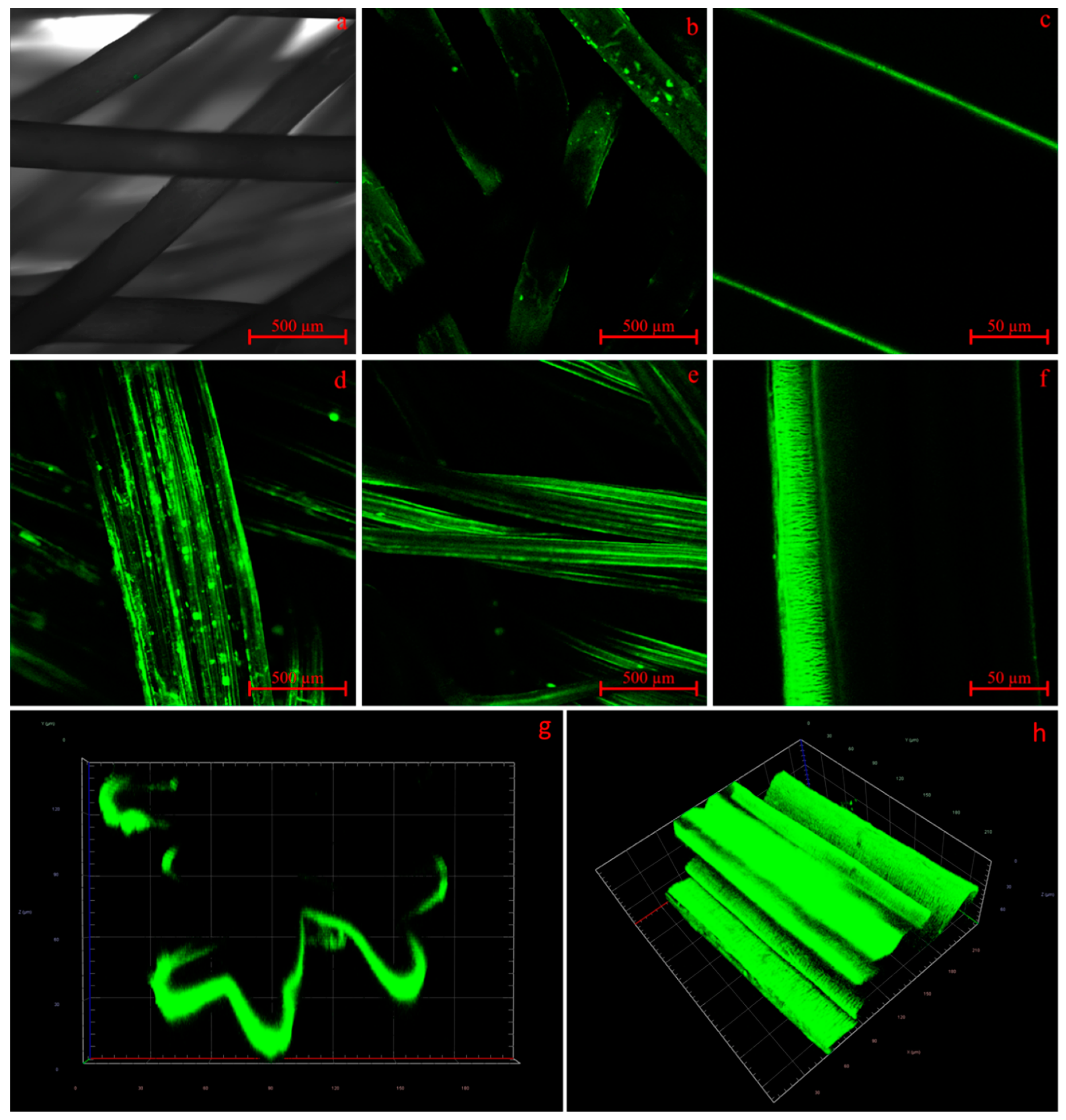 Polymers 16 00488 g009