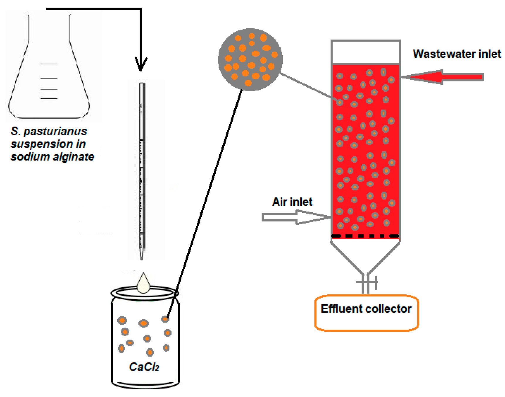 Polymers 16 00491 g002