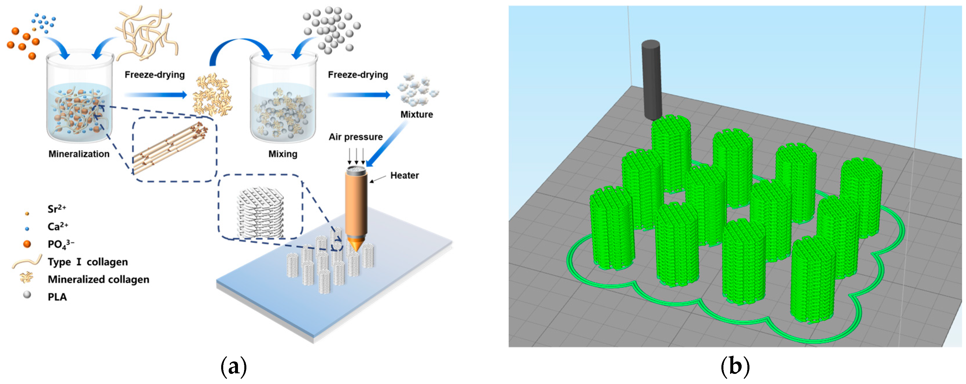 Polymers 16 00498 g001