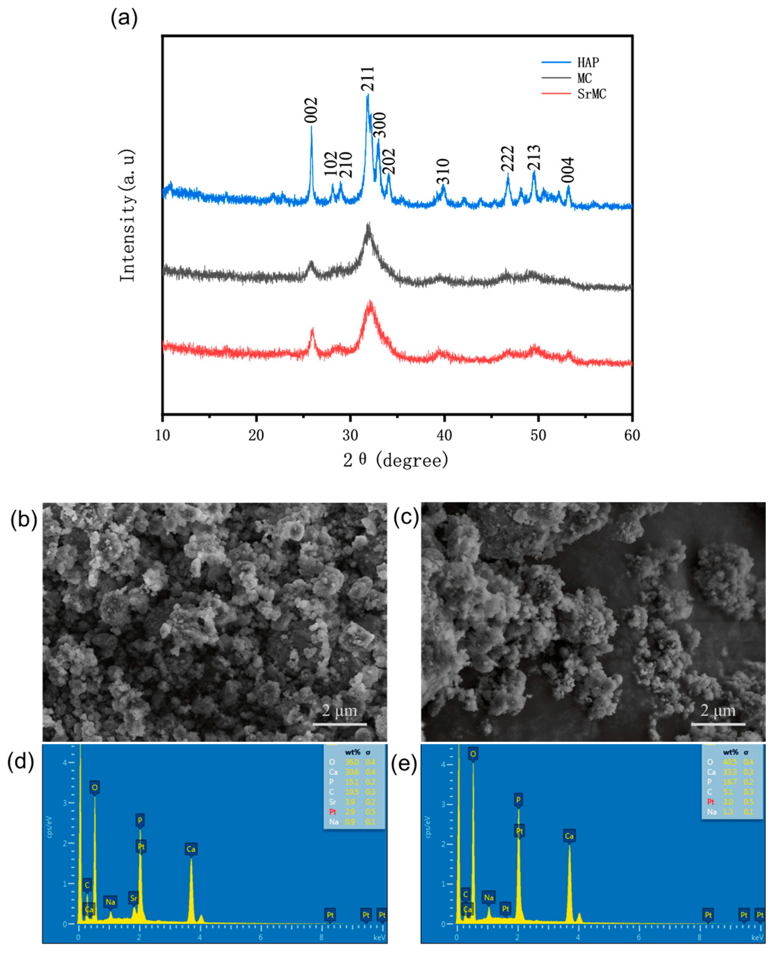 Polymers 16 00498 g002