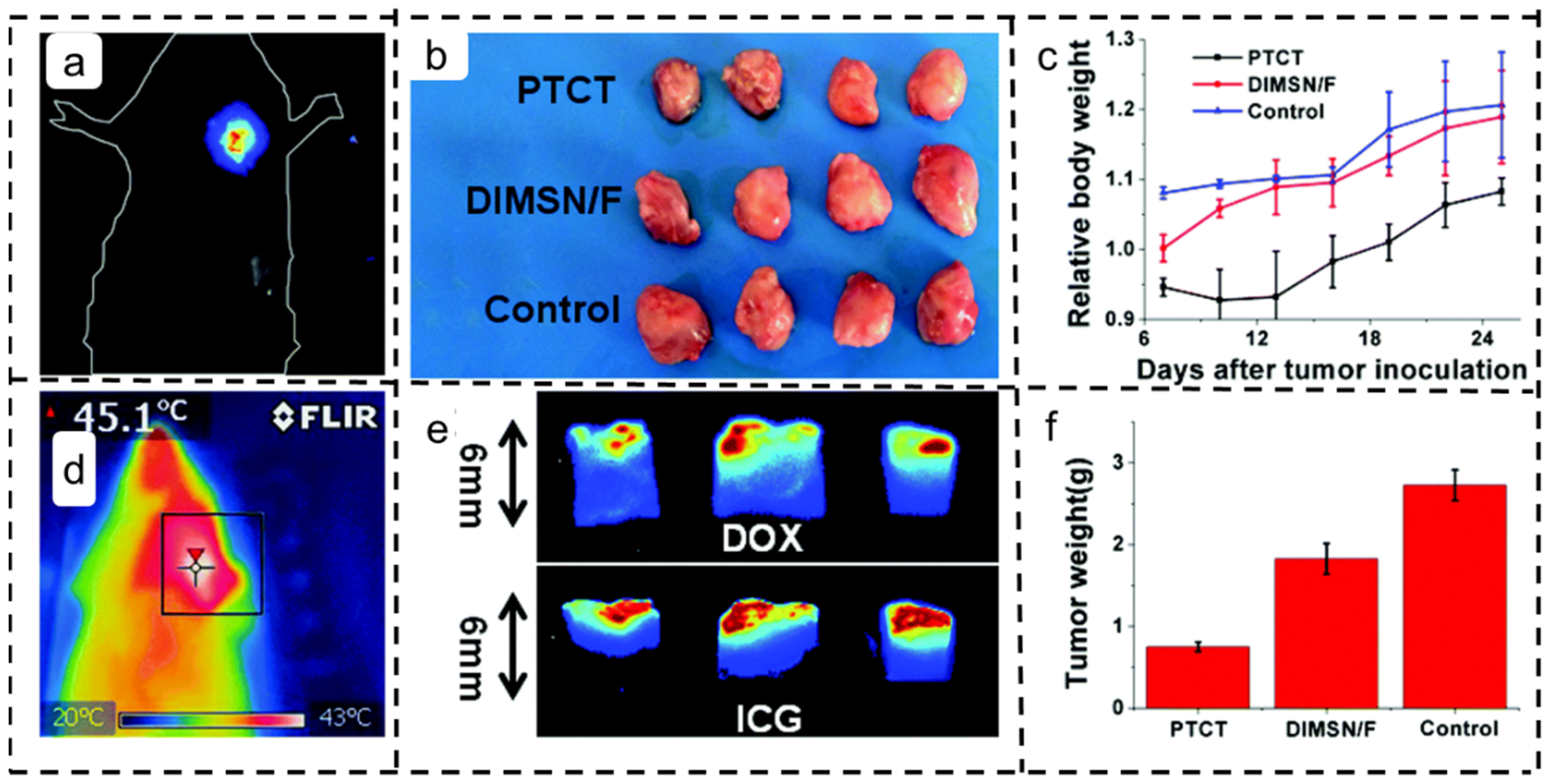 Polymers 16 00504 g007