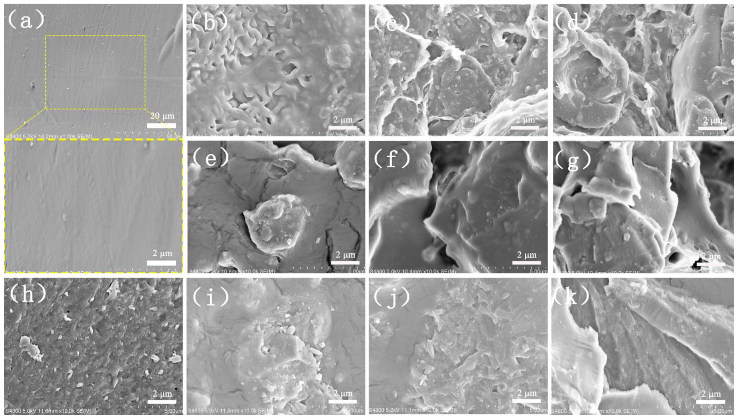 Polymers 16 00520 g001