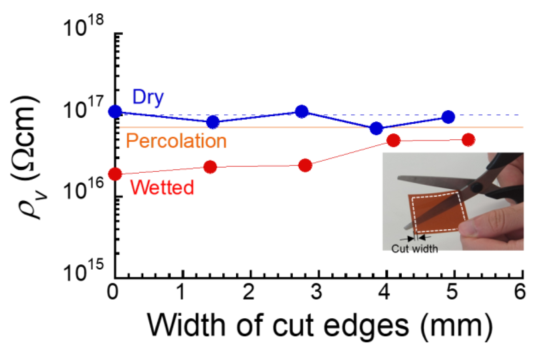 Polymers 16 00521 g008