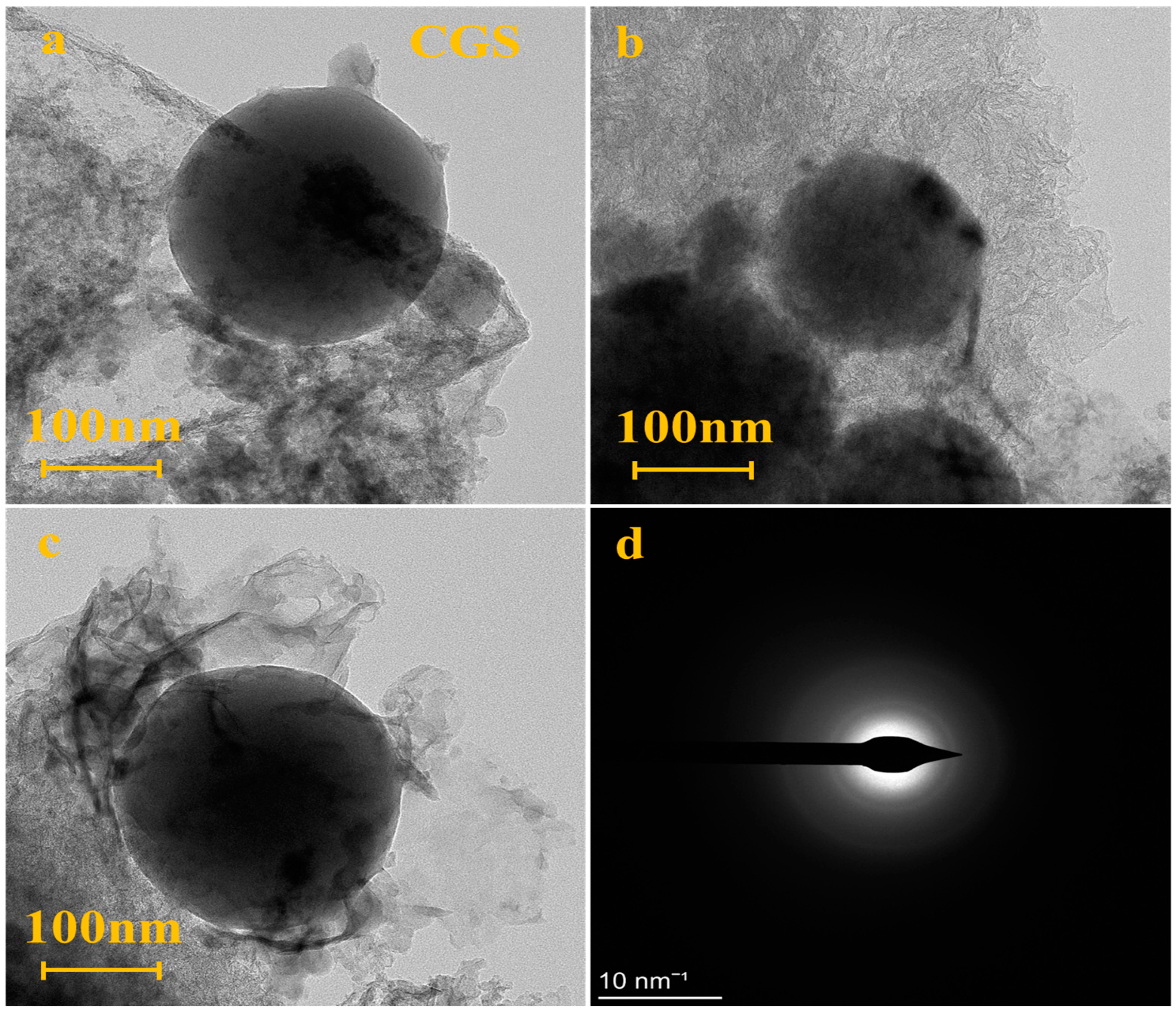 Polymers 16 00522 g002