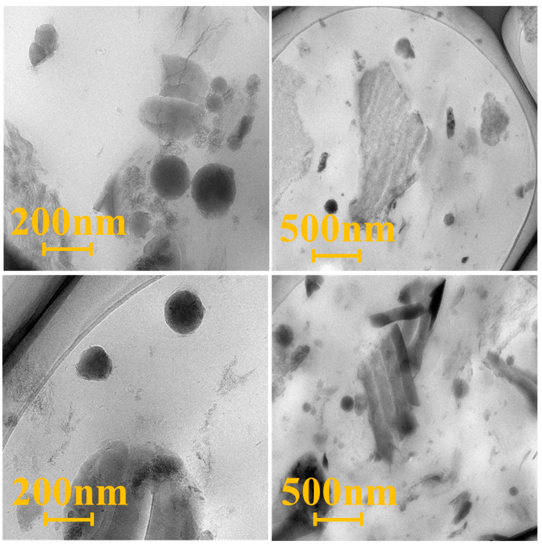 Polymers 16 00522 g010