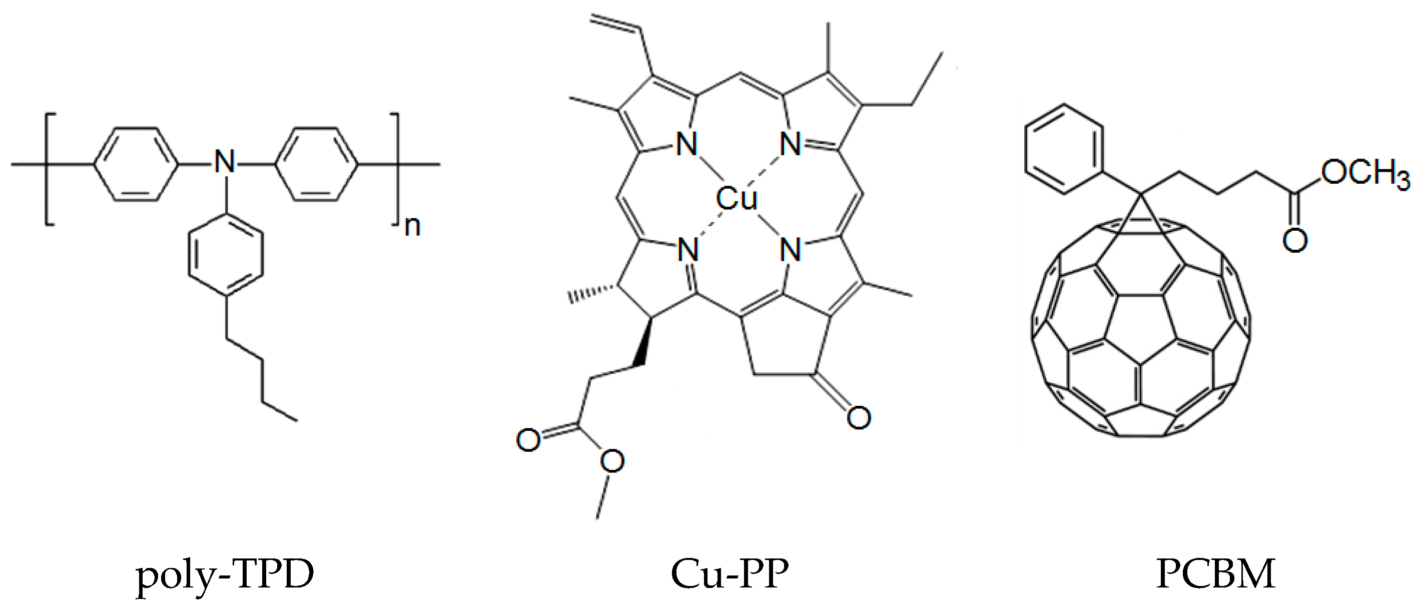 Polymers 16 00570 g001