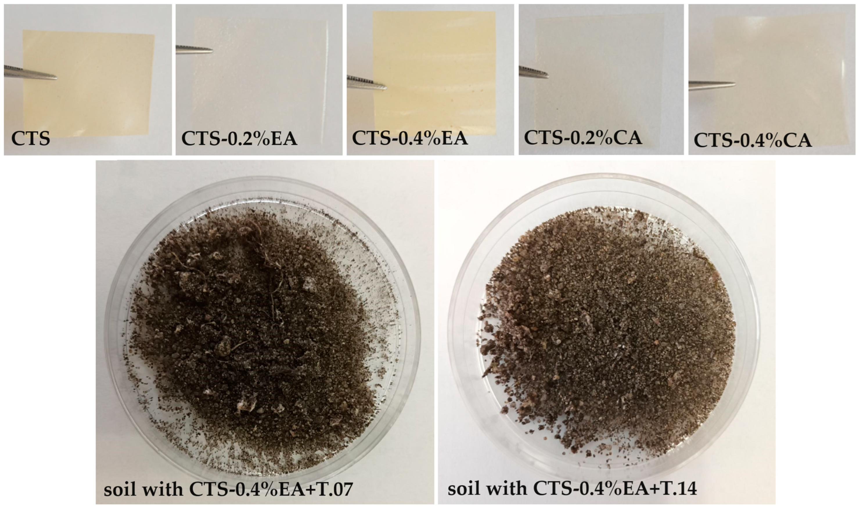 Polymers 16 00574 g002
