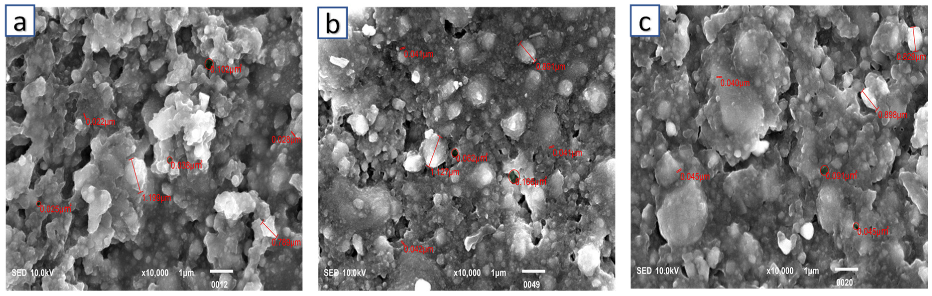 Polymers 16 00588 g004 Polymers 16 00588 g004