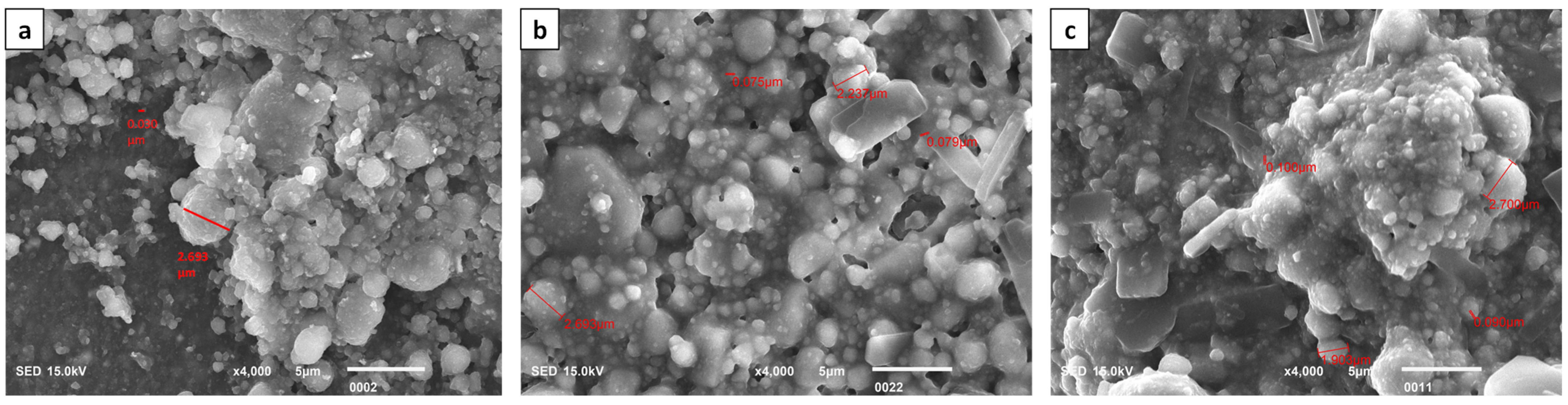 Polymers 16 00588 g005 Polymers 16 00588 g005
