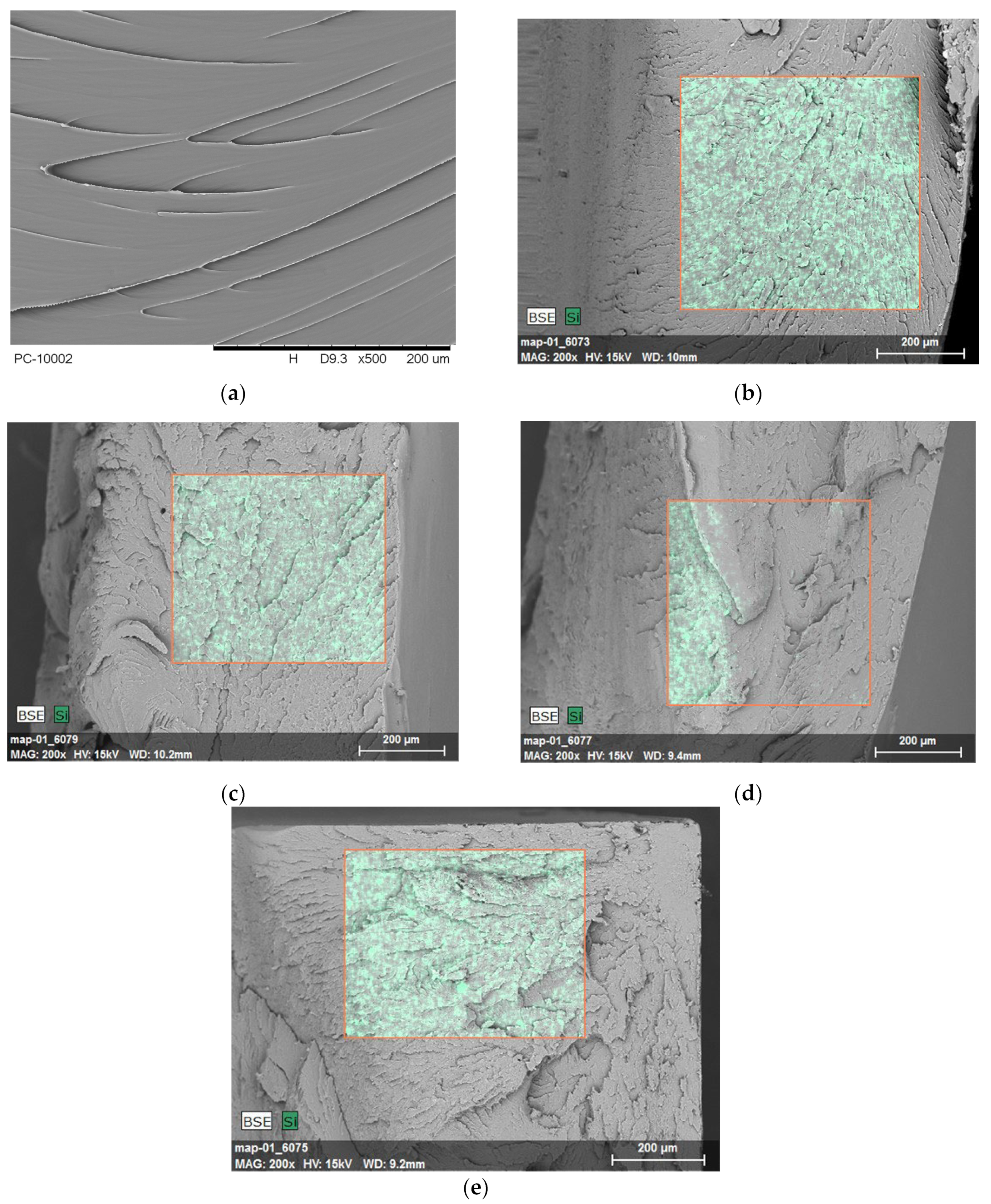 Polymers 16 00592 g006