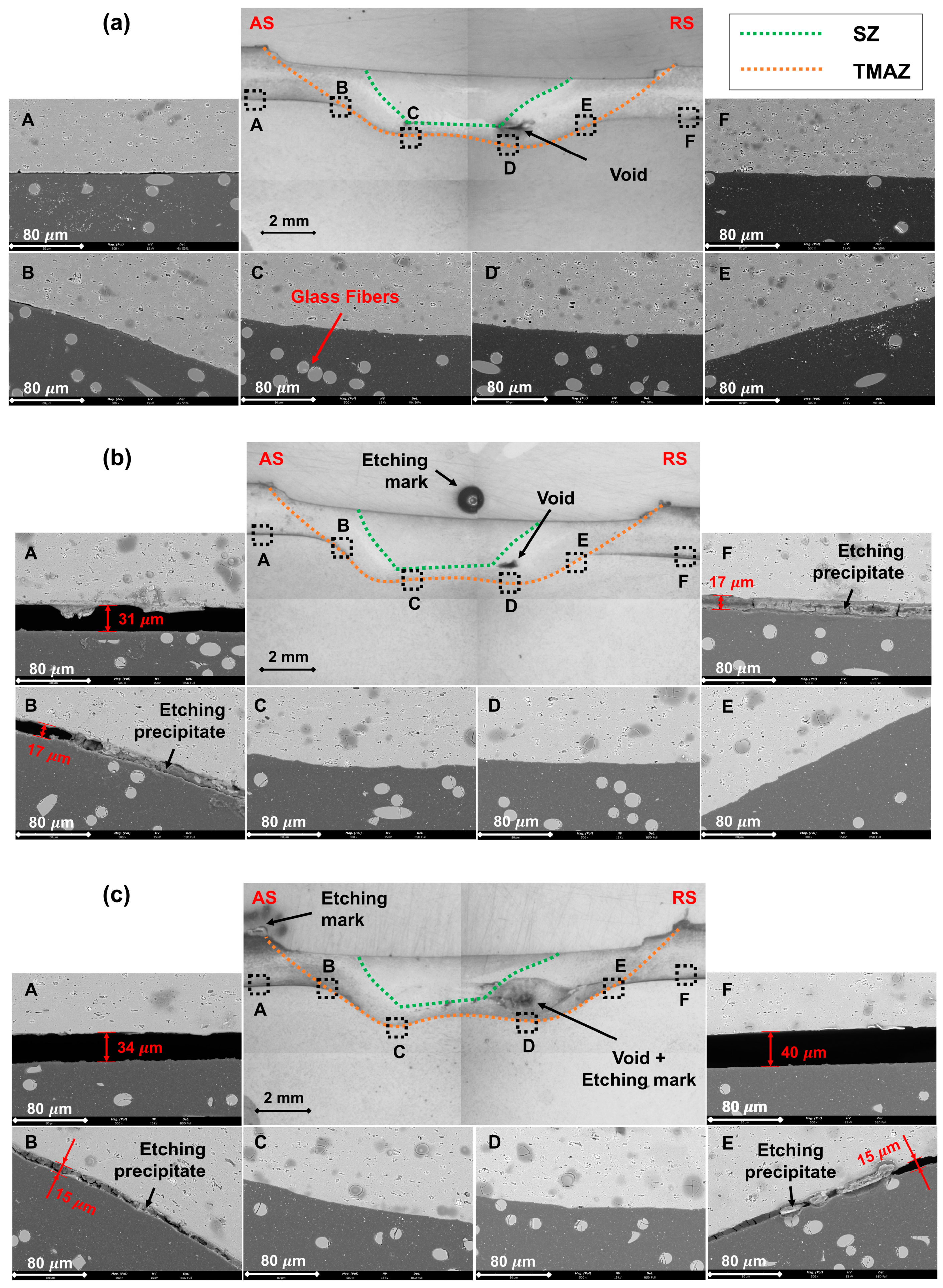 Polymers 16 00602 g006