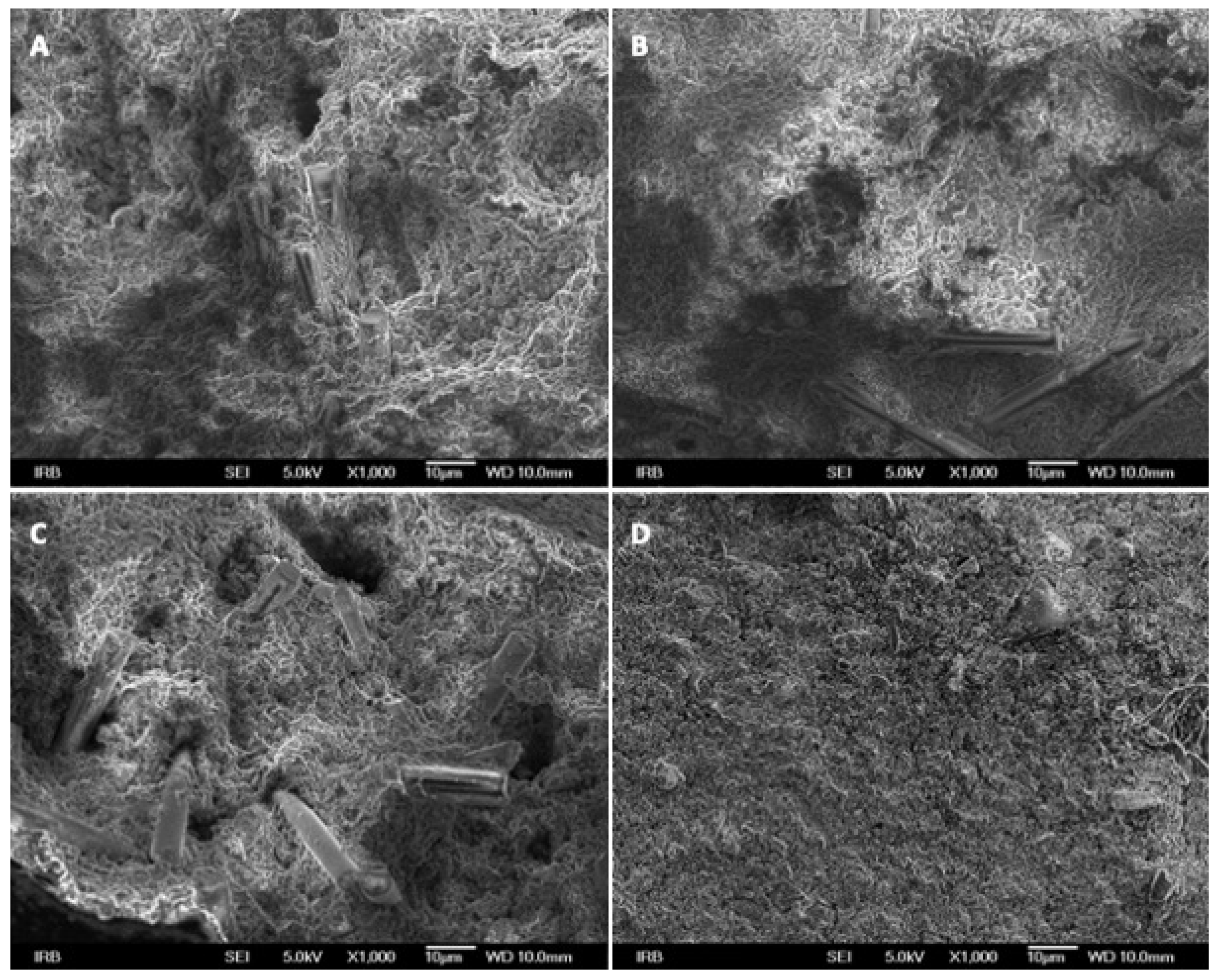Polymers 16 00607 g004