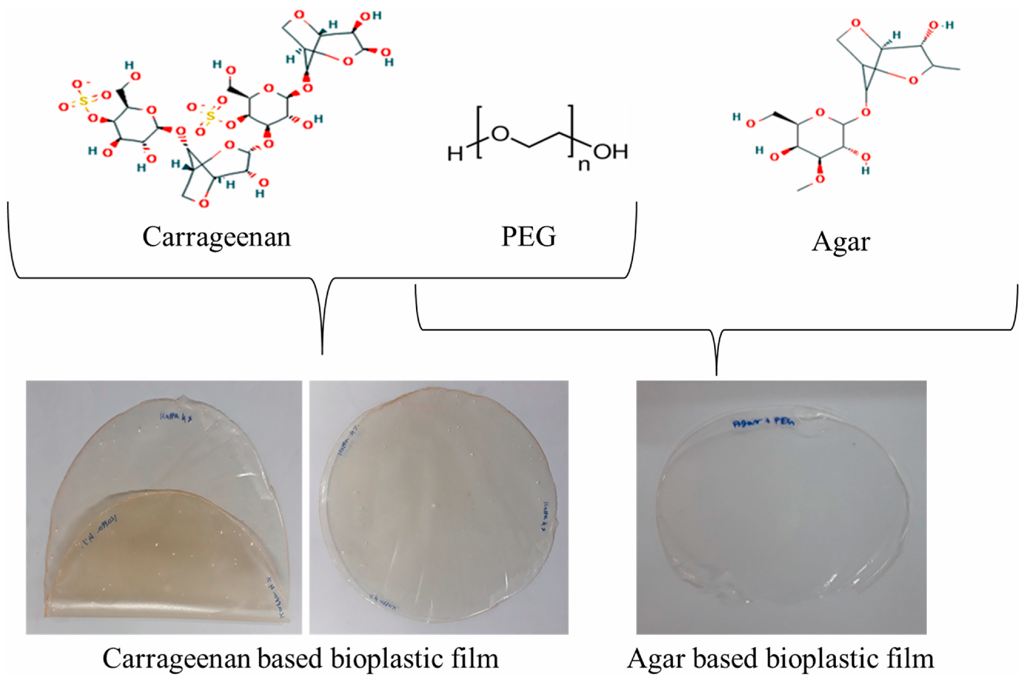 Polymers 16 00610 g003
