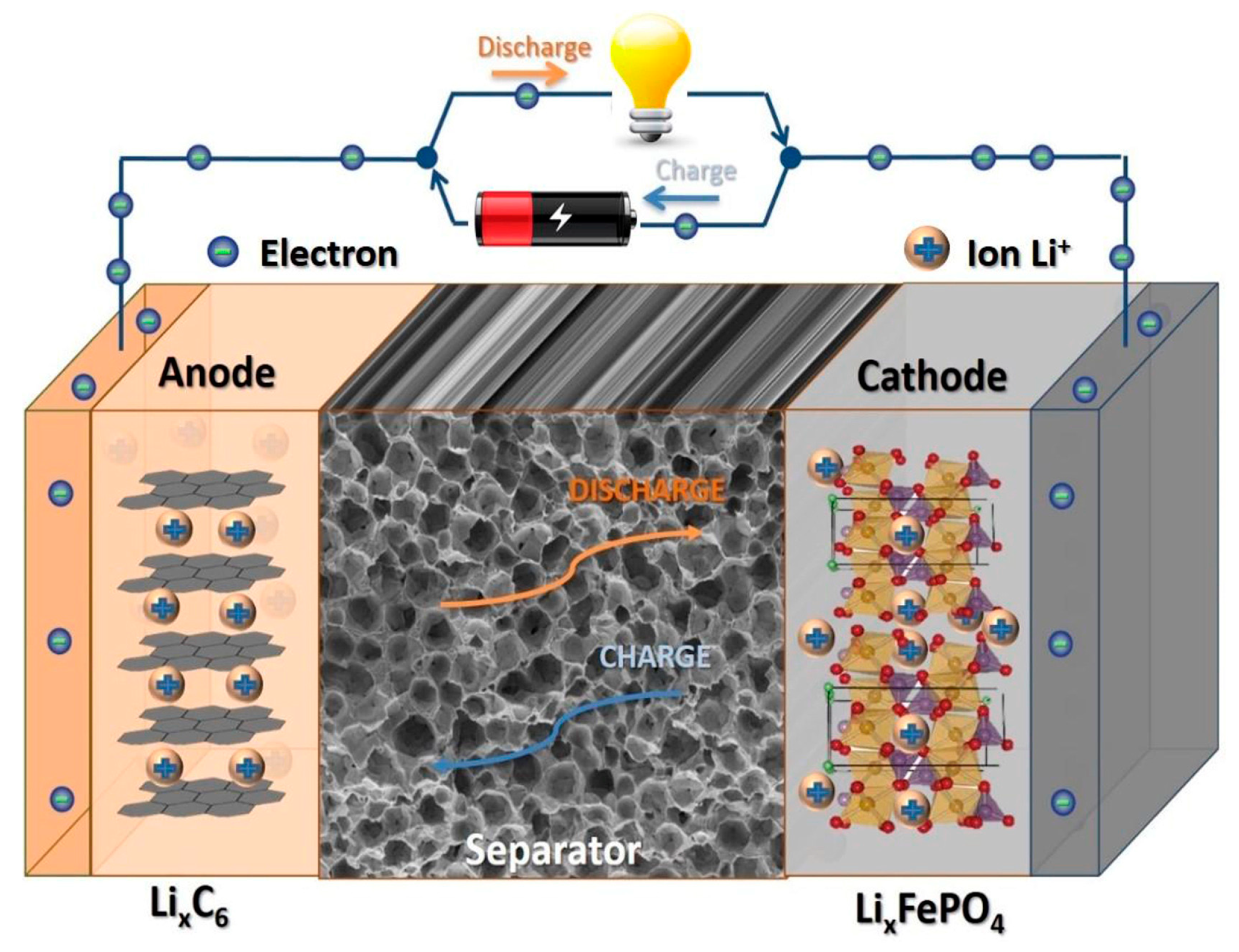 Polymers 16 00610 g008