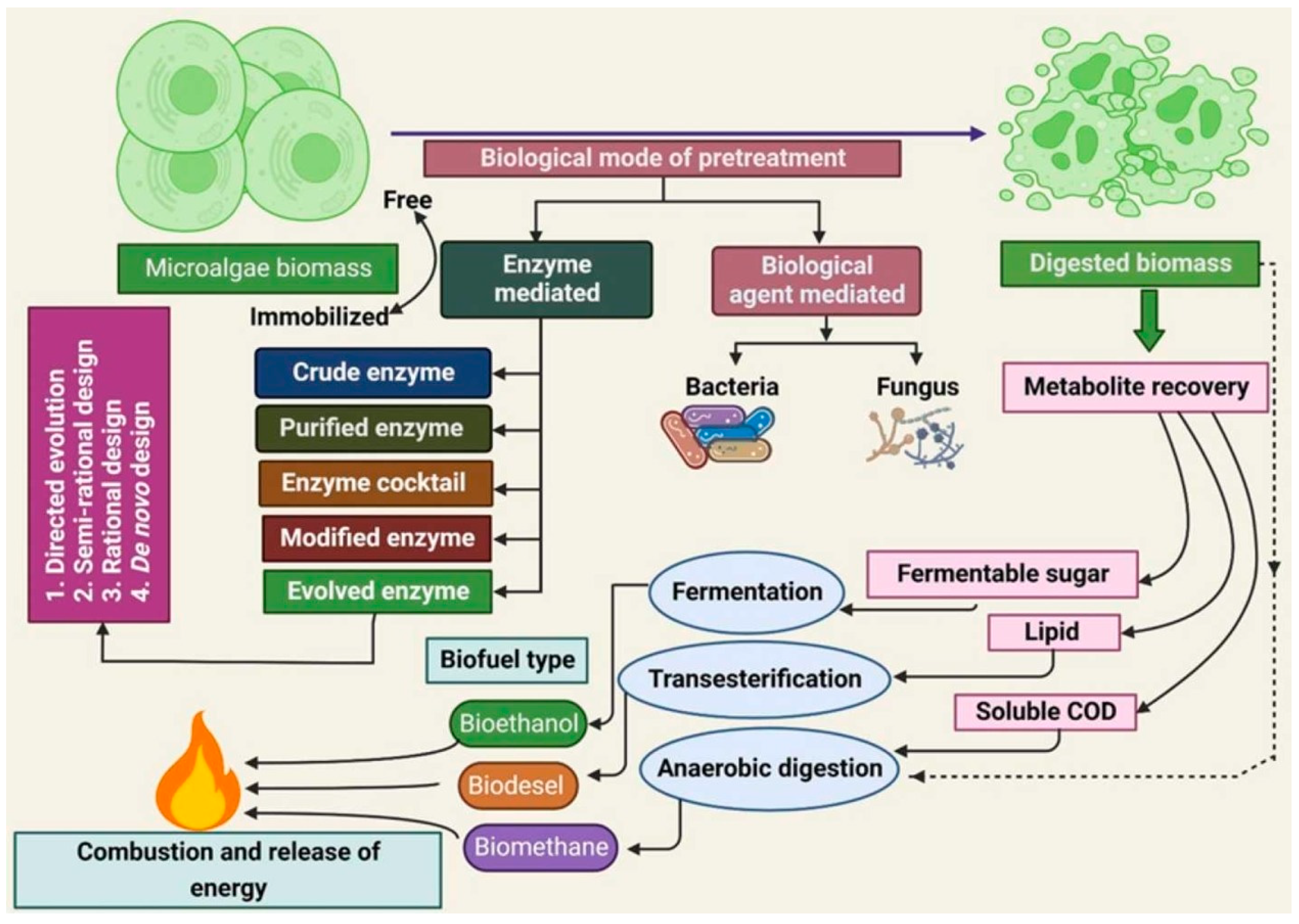 Polymers 16 00610 g011