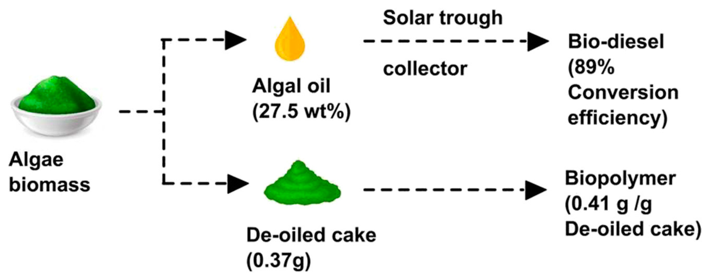 Polymers 16 00610 g012