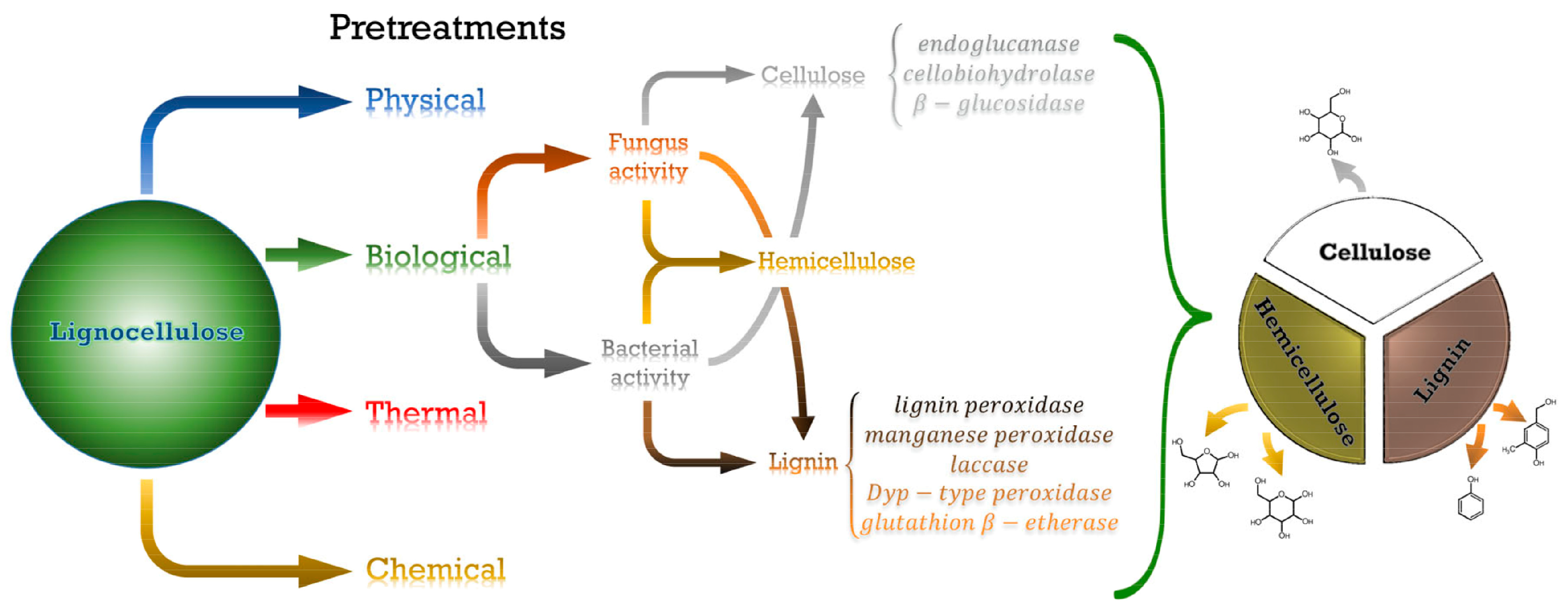 Polymers 16 00610 g013