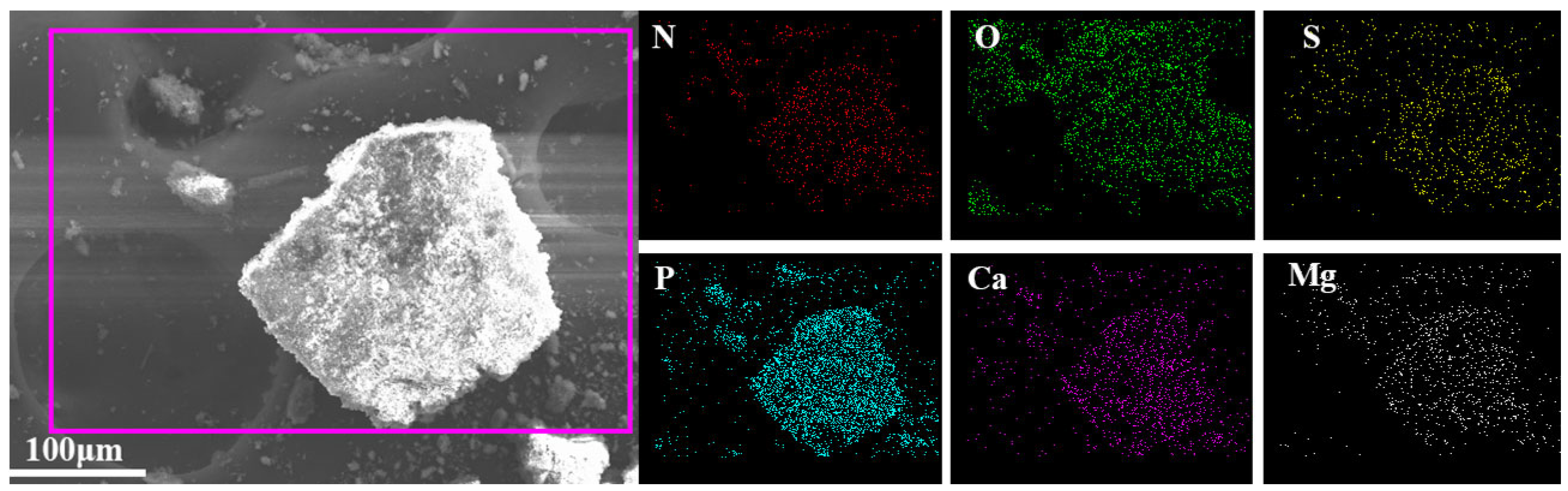 Polymers 16 00614 g003