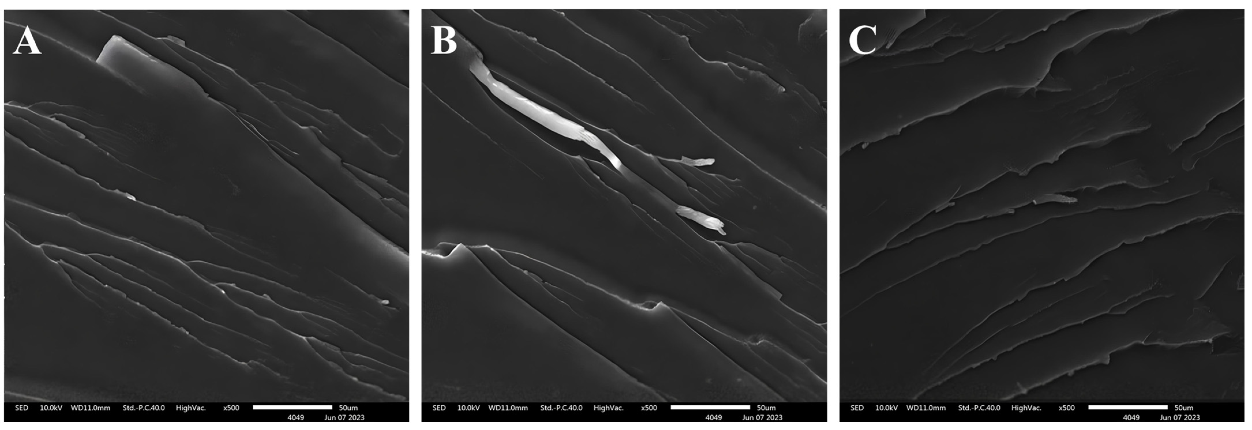 Polymers 16 00634 g003