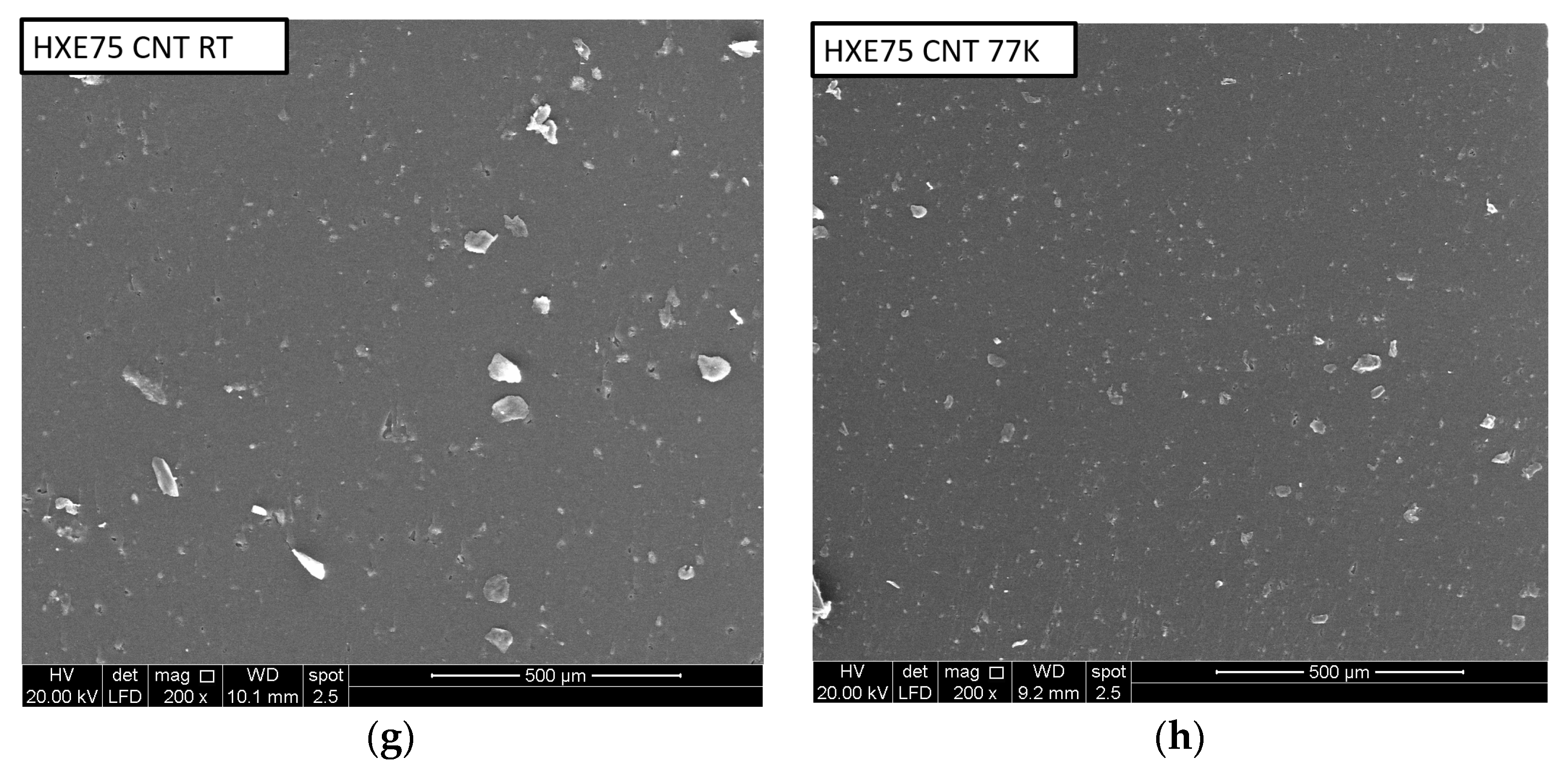 Polymers 16 00638 g006b