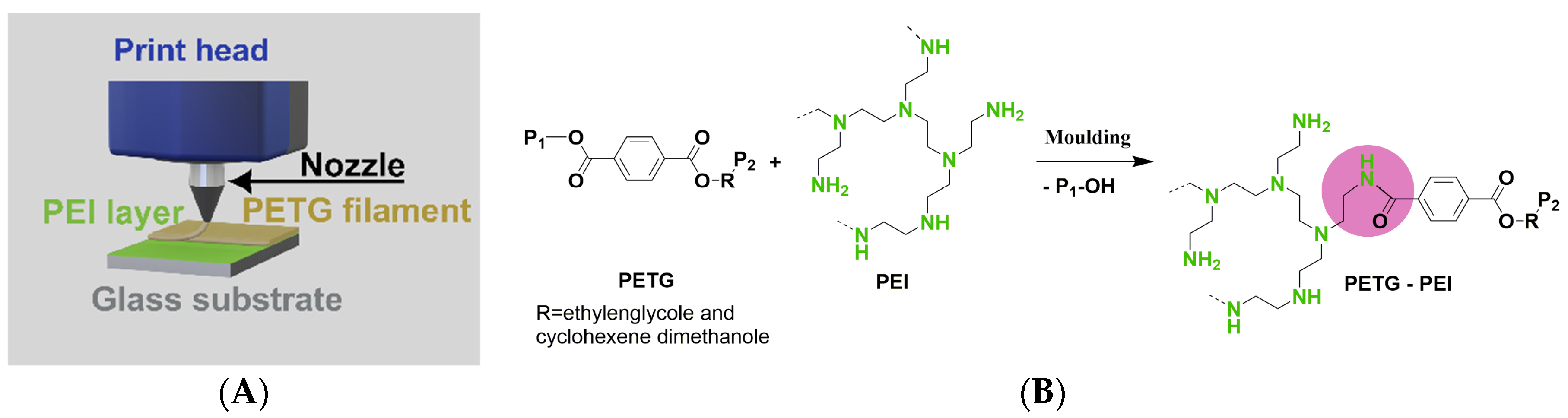 Polymers 16 00644 g001