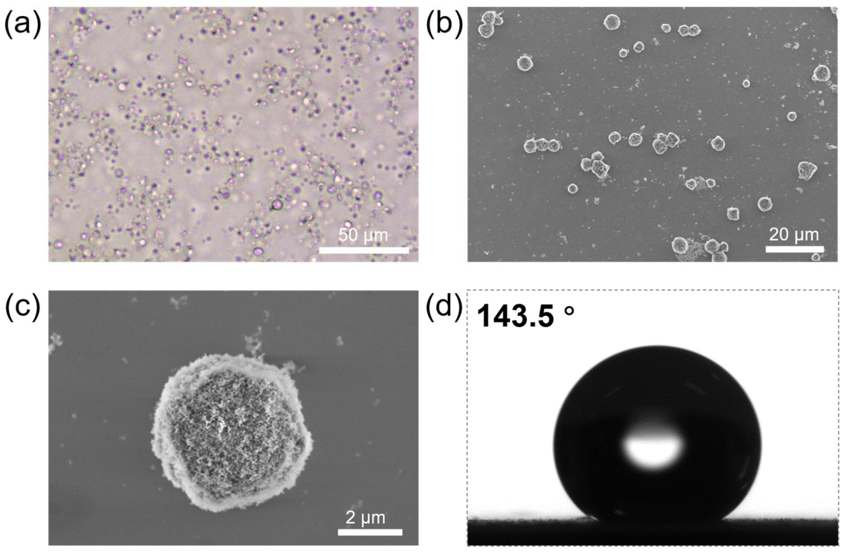 Polymers | Free Full-Text | Proteinaceous Microsphere-Based Water