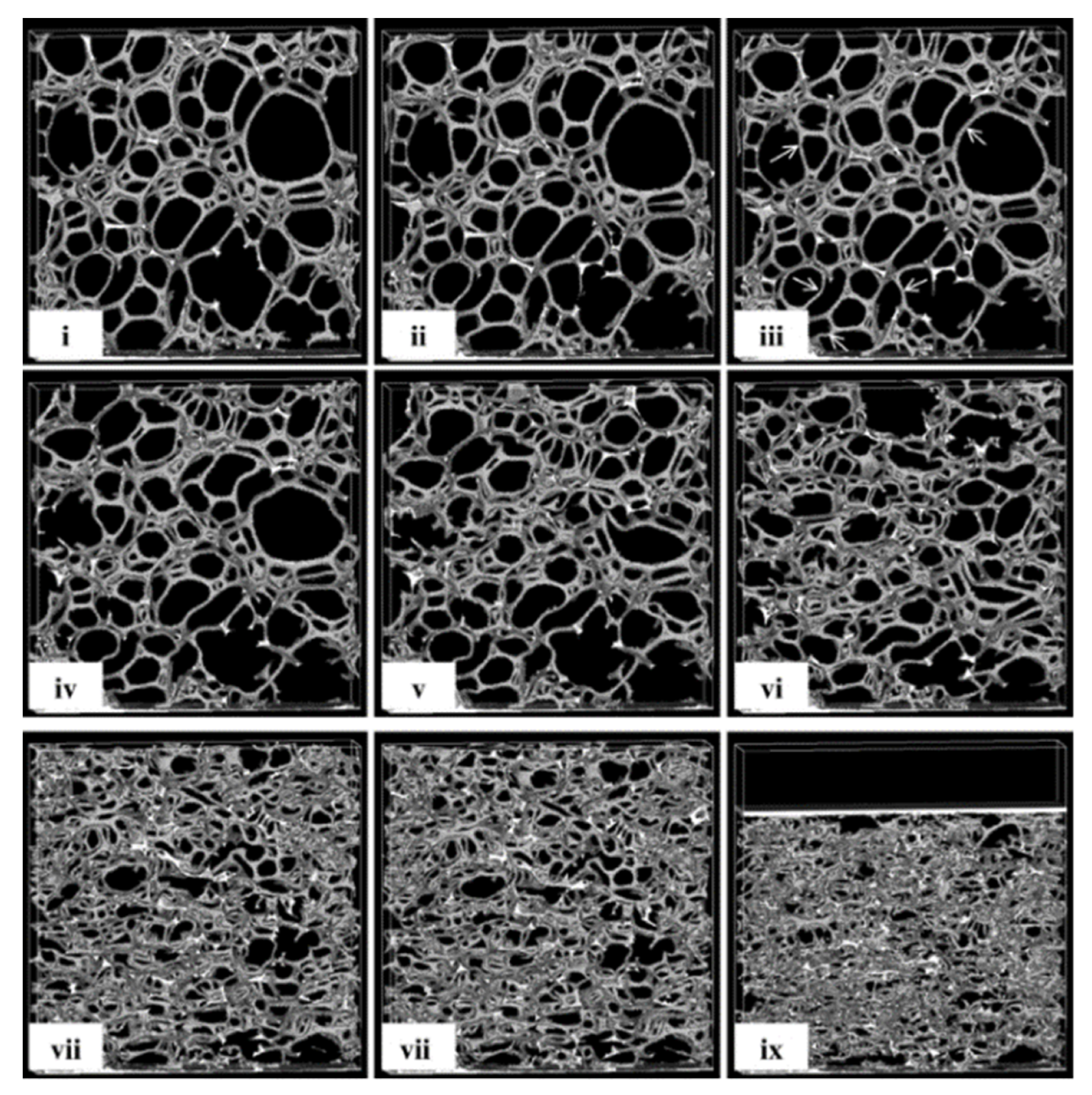 Polymers 16 00663 g003