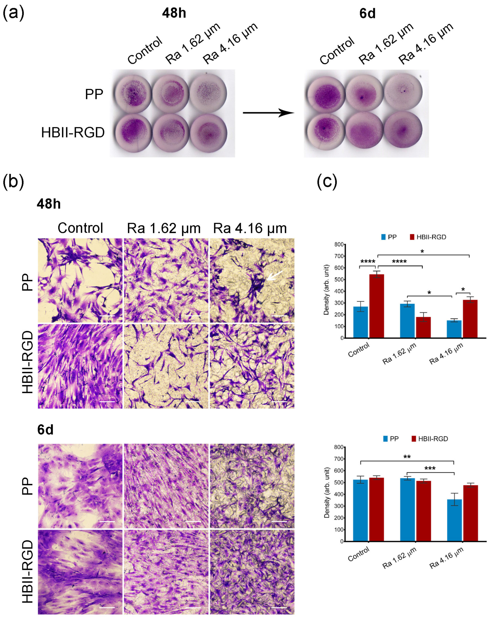 Polymers 16 00667 g005