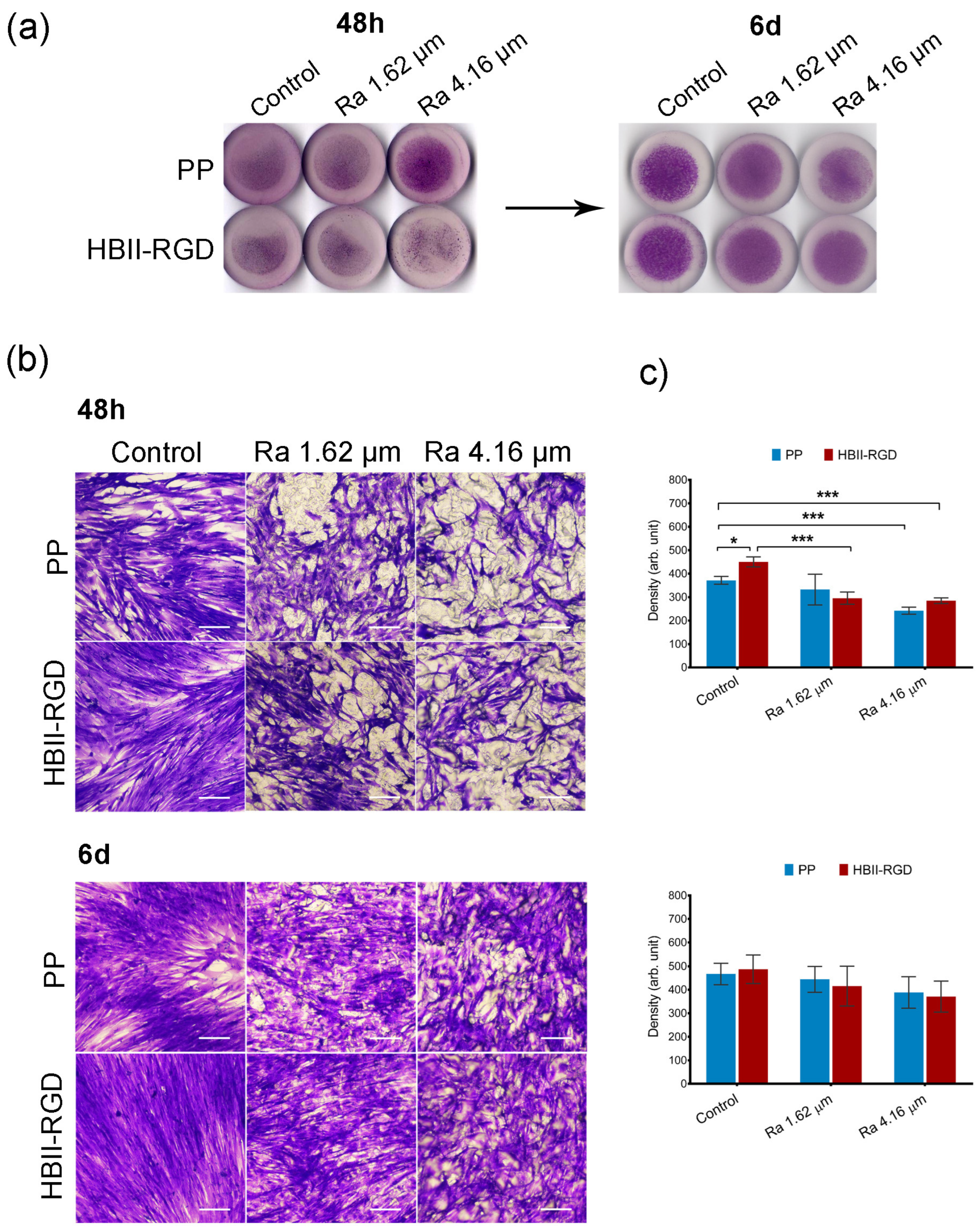 Polymers 16 00667 g006