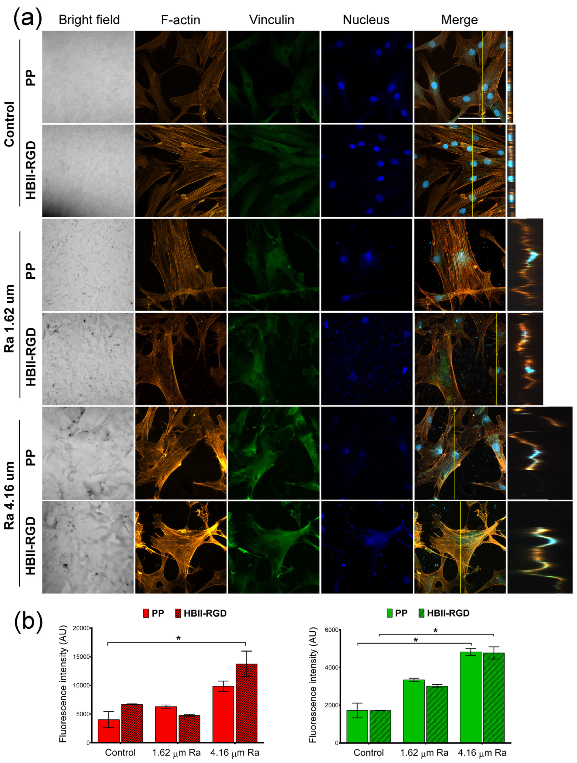 Polymers 16 00667 g007