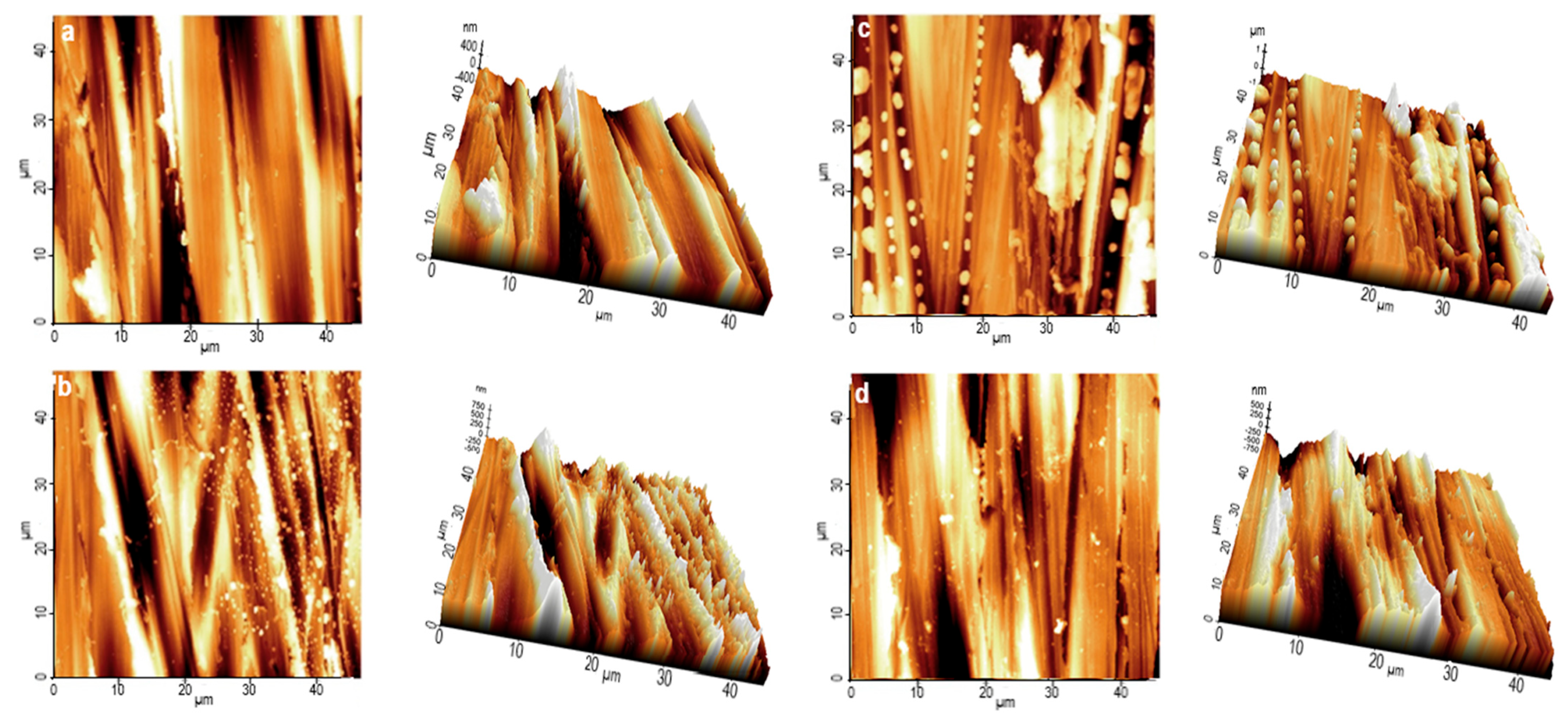 Polymers 16 00669 g012