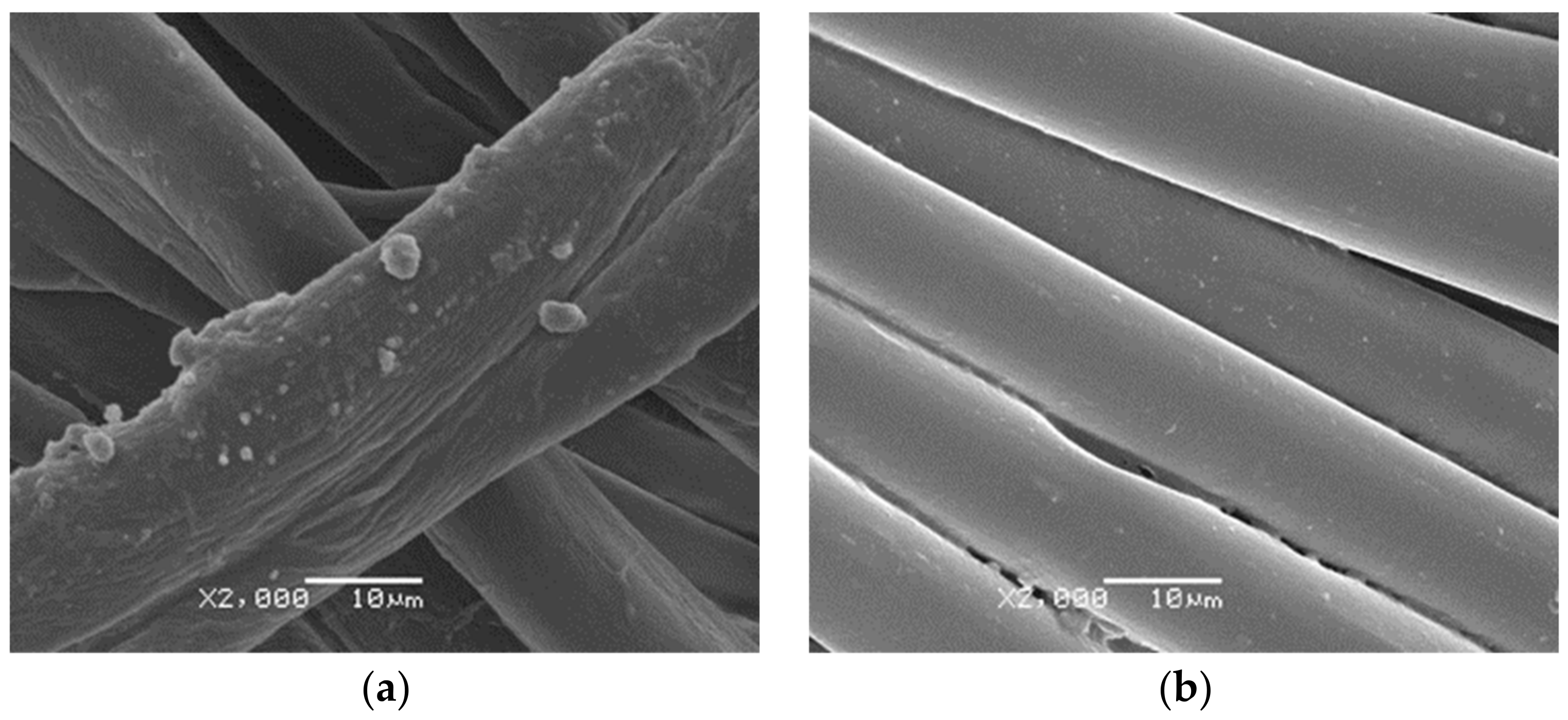 Polymers 16 00670 g004