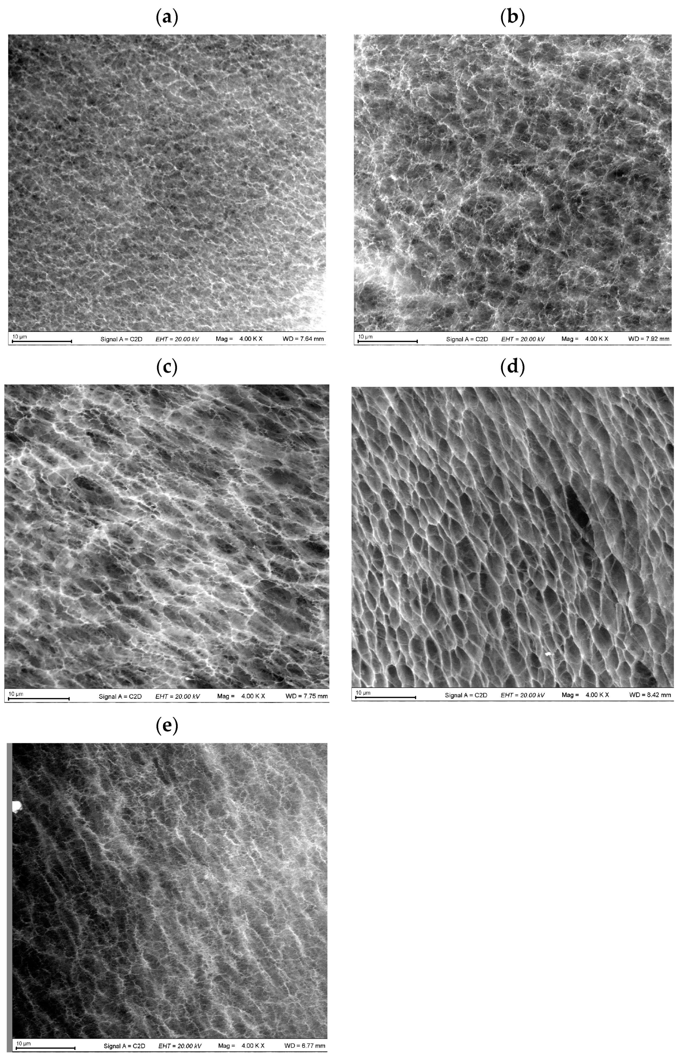 Polymers 16 00675 g006