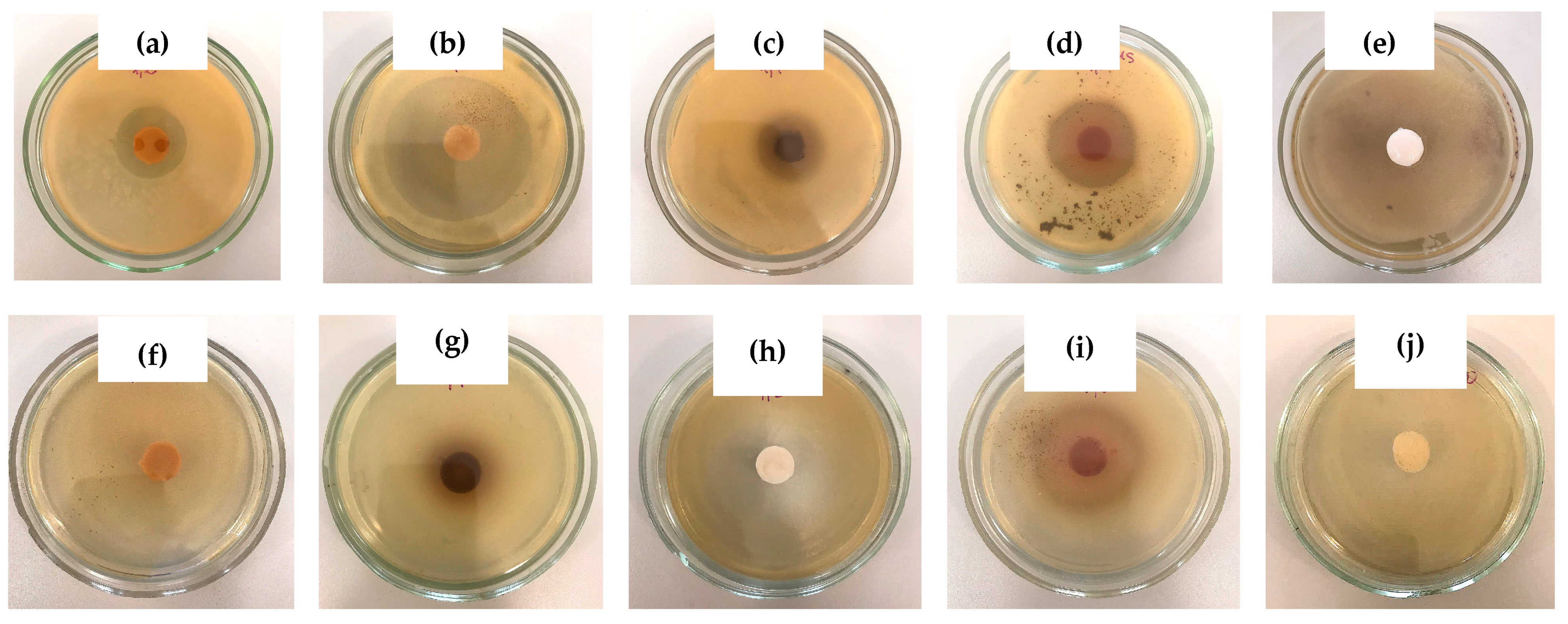 Polymers 16 00675 g008