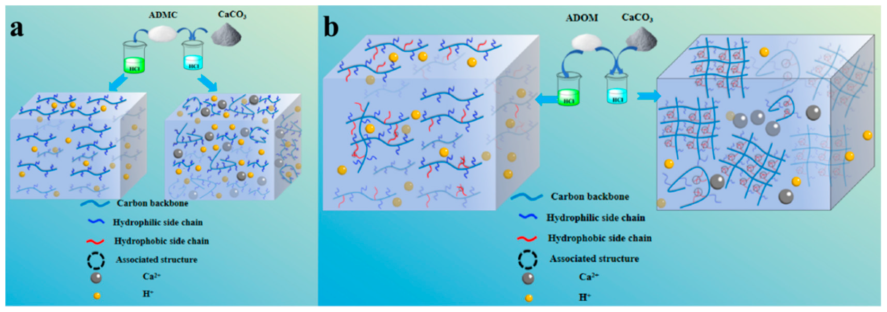 Polymers 16 00679 g005