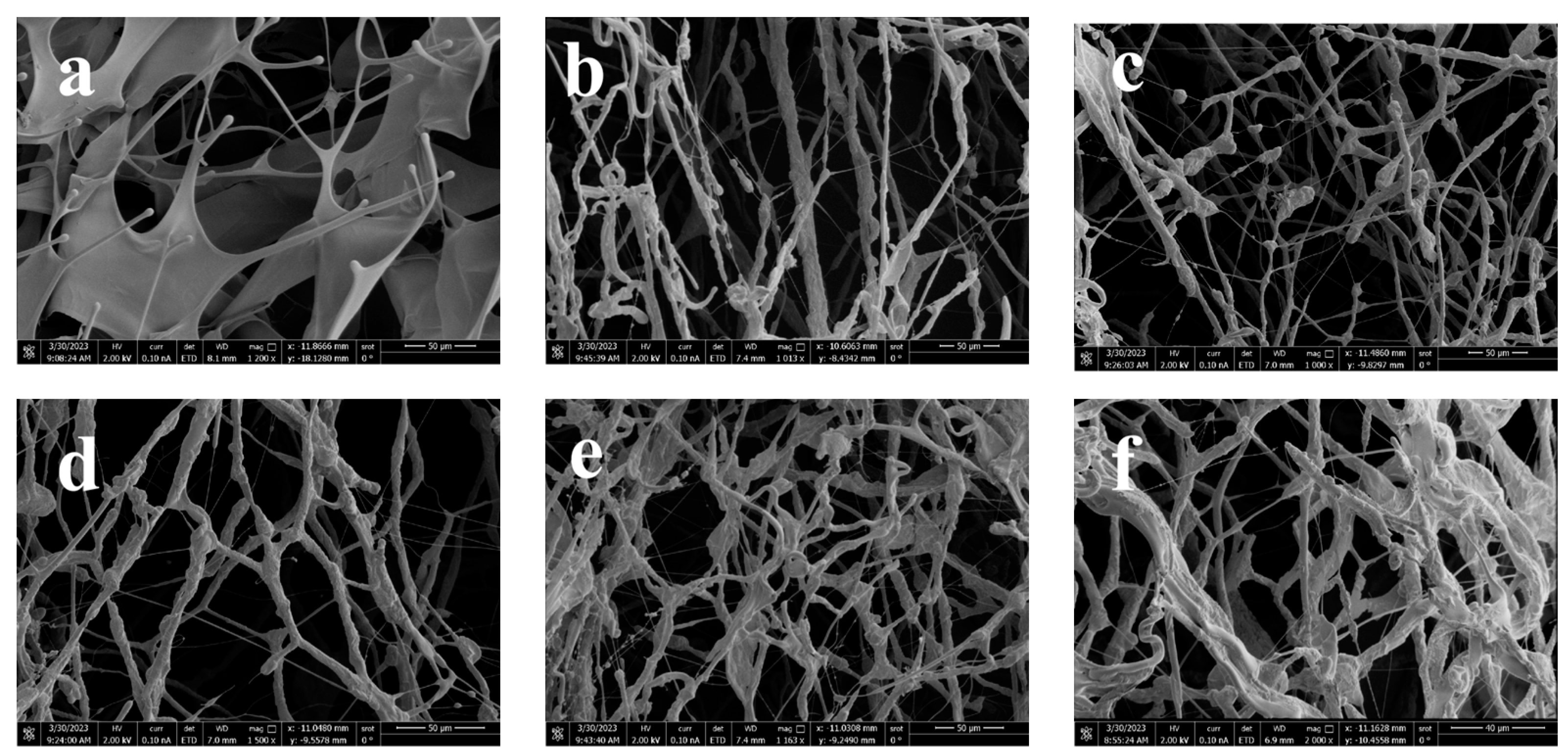 Polymers 16 00679 g008