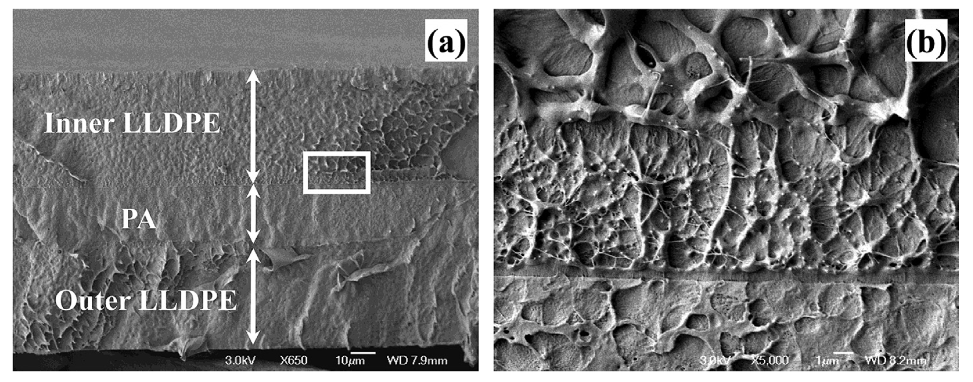 Polymers 16 00689 g007