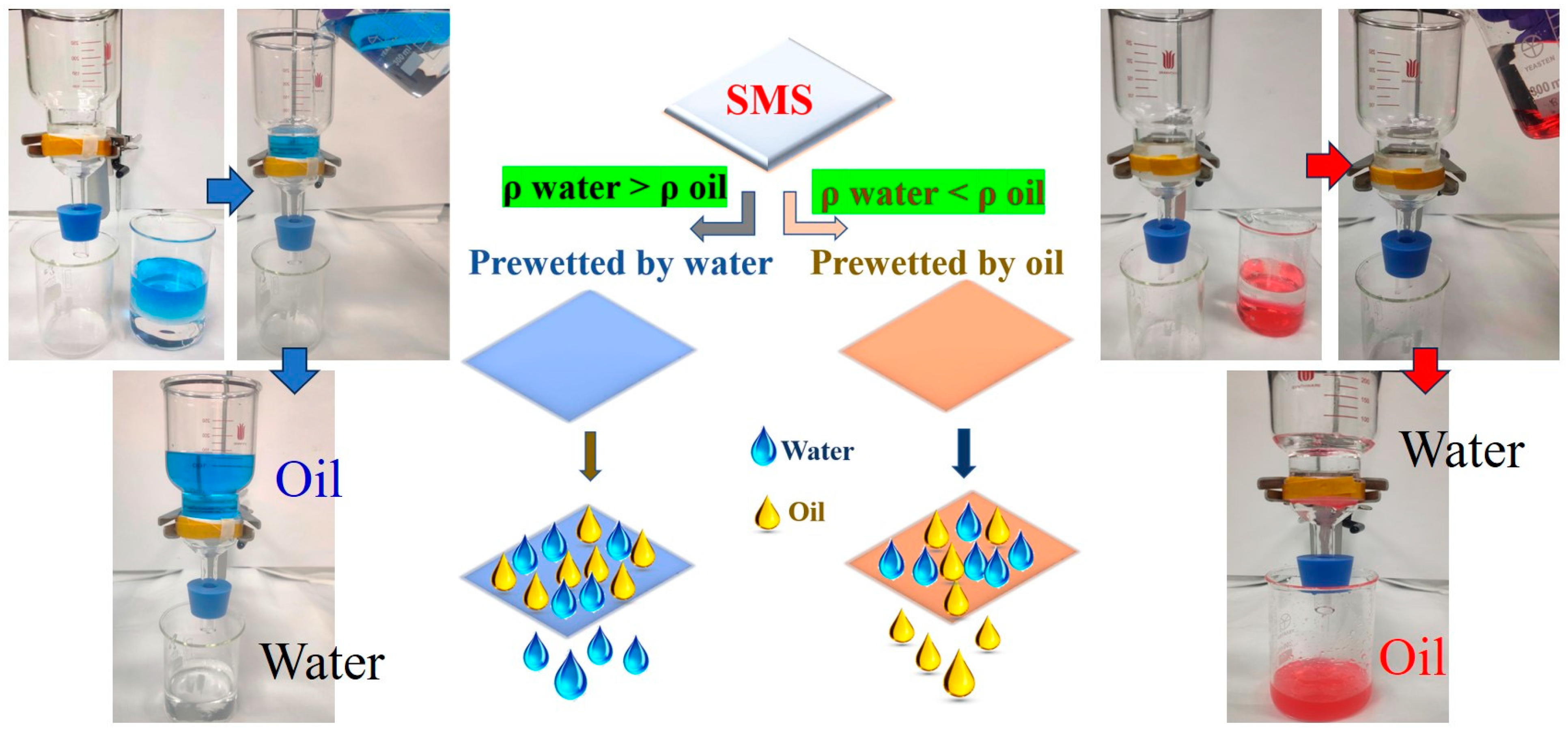 Polymers 16 00693 g006