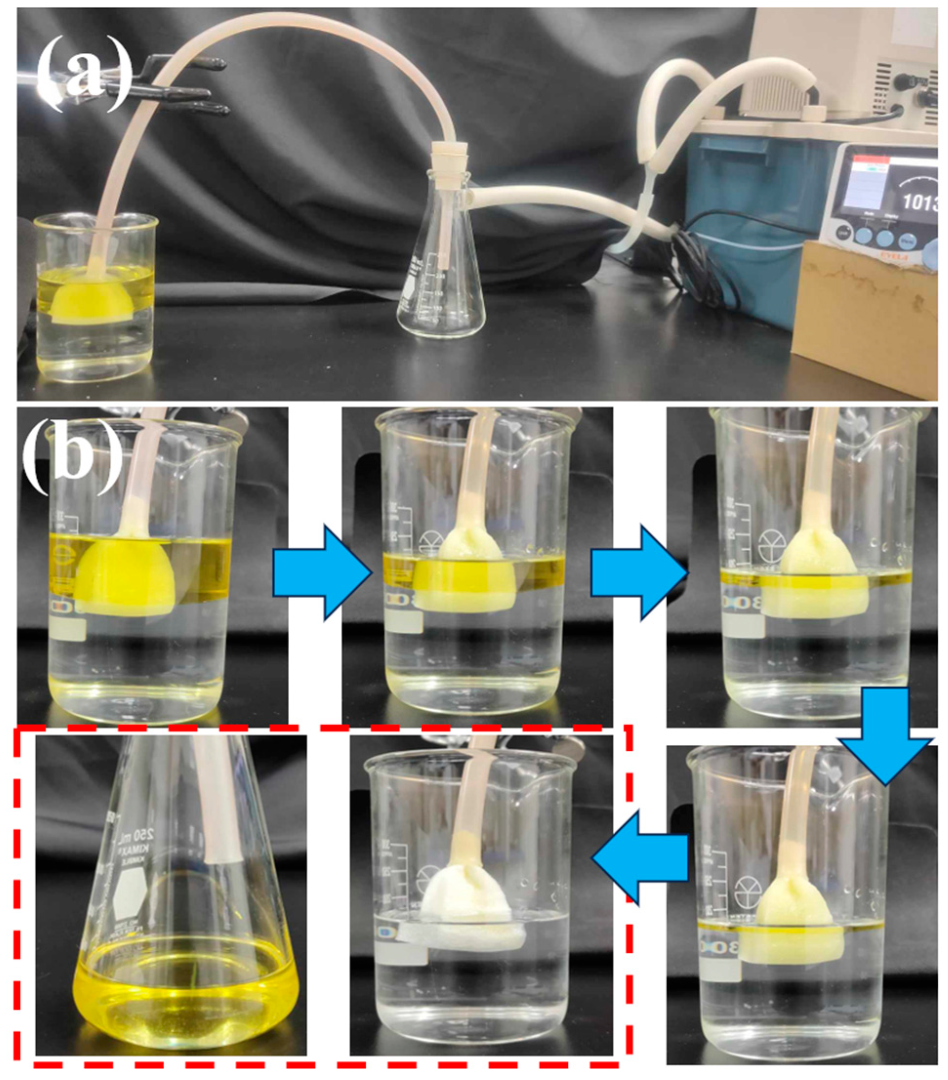 Polymers 16 00693 g008